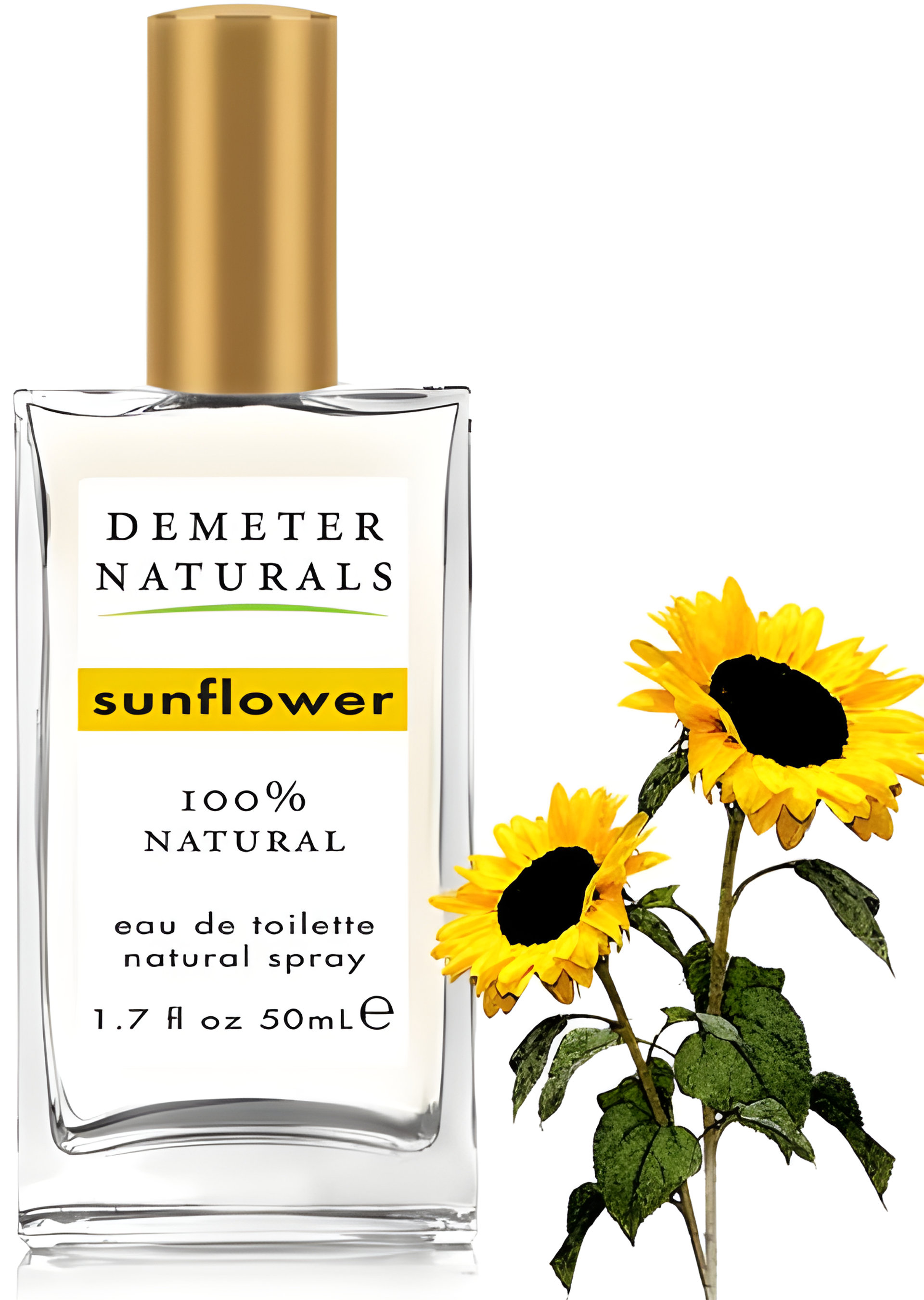 Picture of Sunflower fragrance