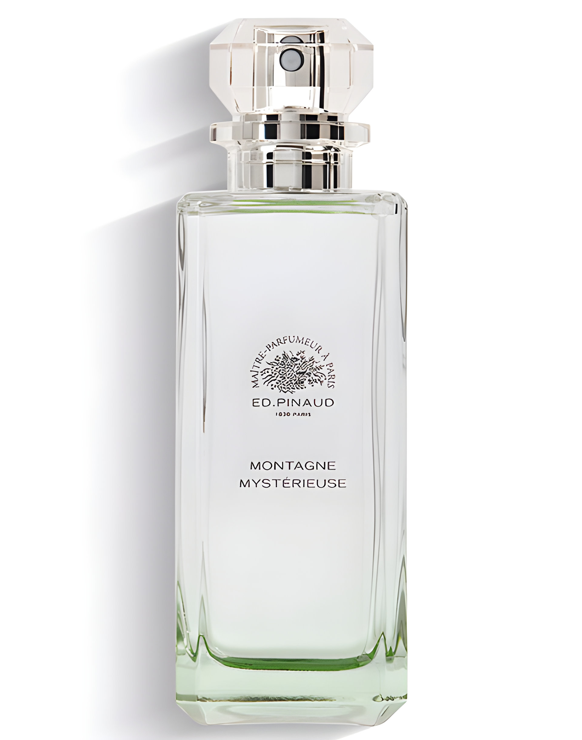 Picture of Montagne Mystérieuse fragrance