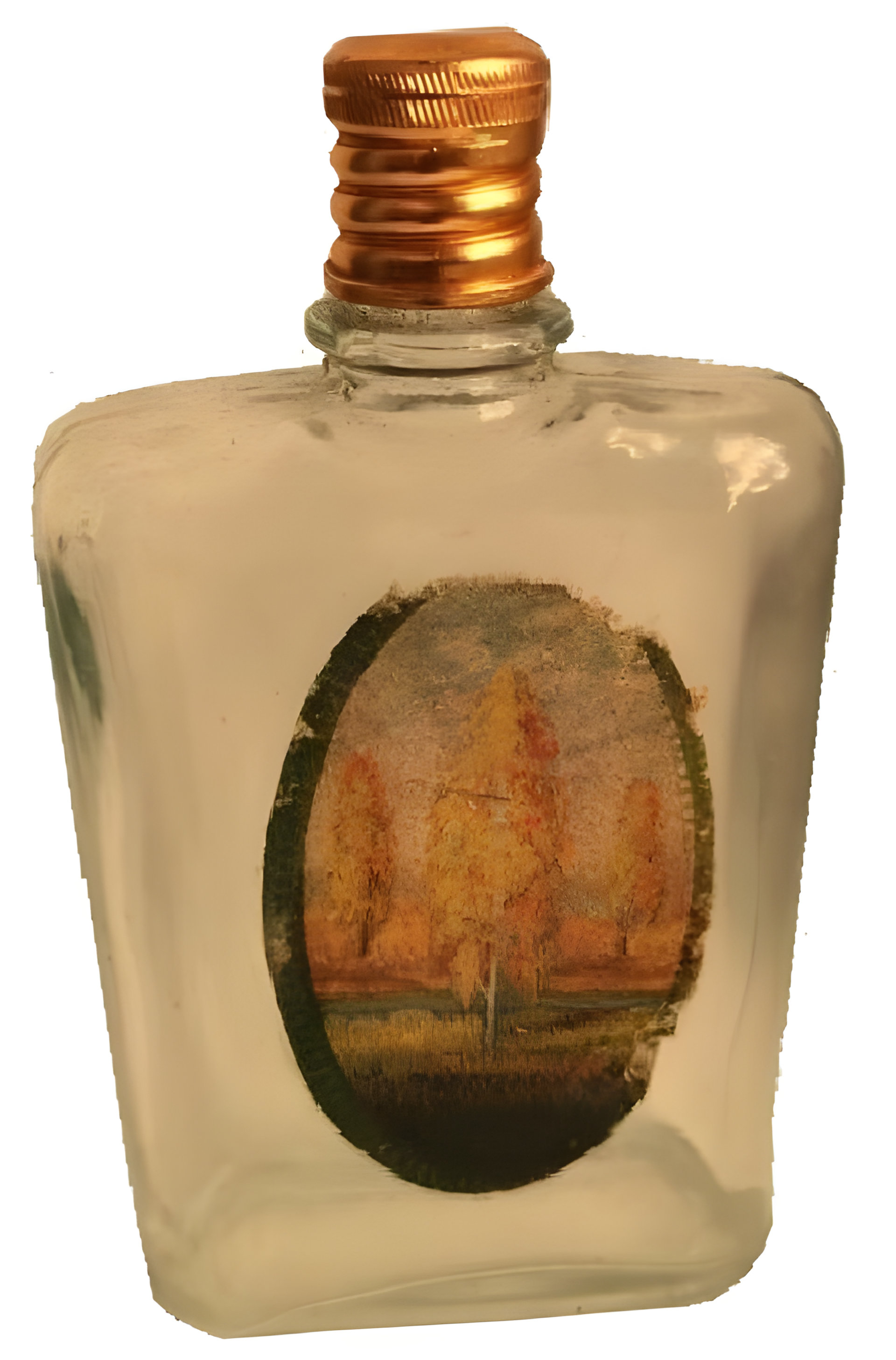 Picture of Rudenīgais Mežs (Осенний Лес) Одеколон fragrance