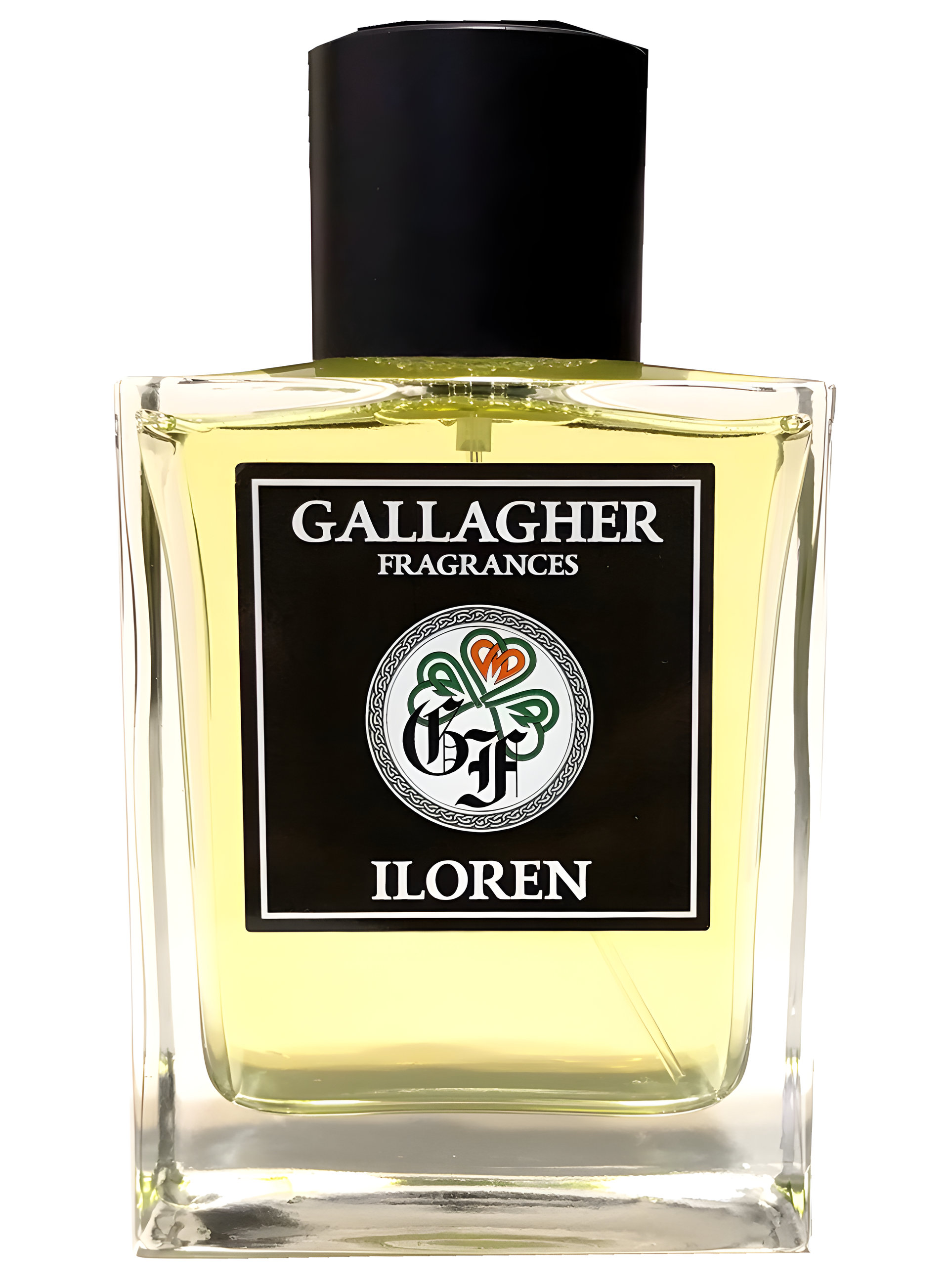 Picture of iloreN fragrance
