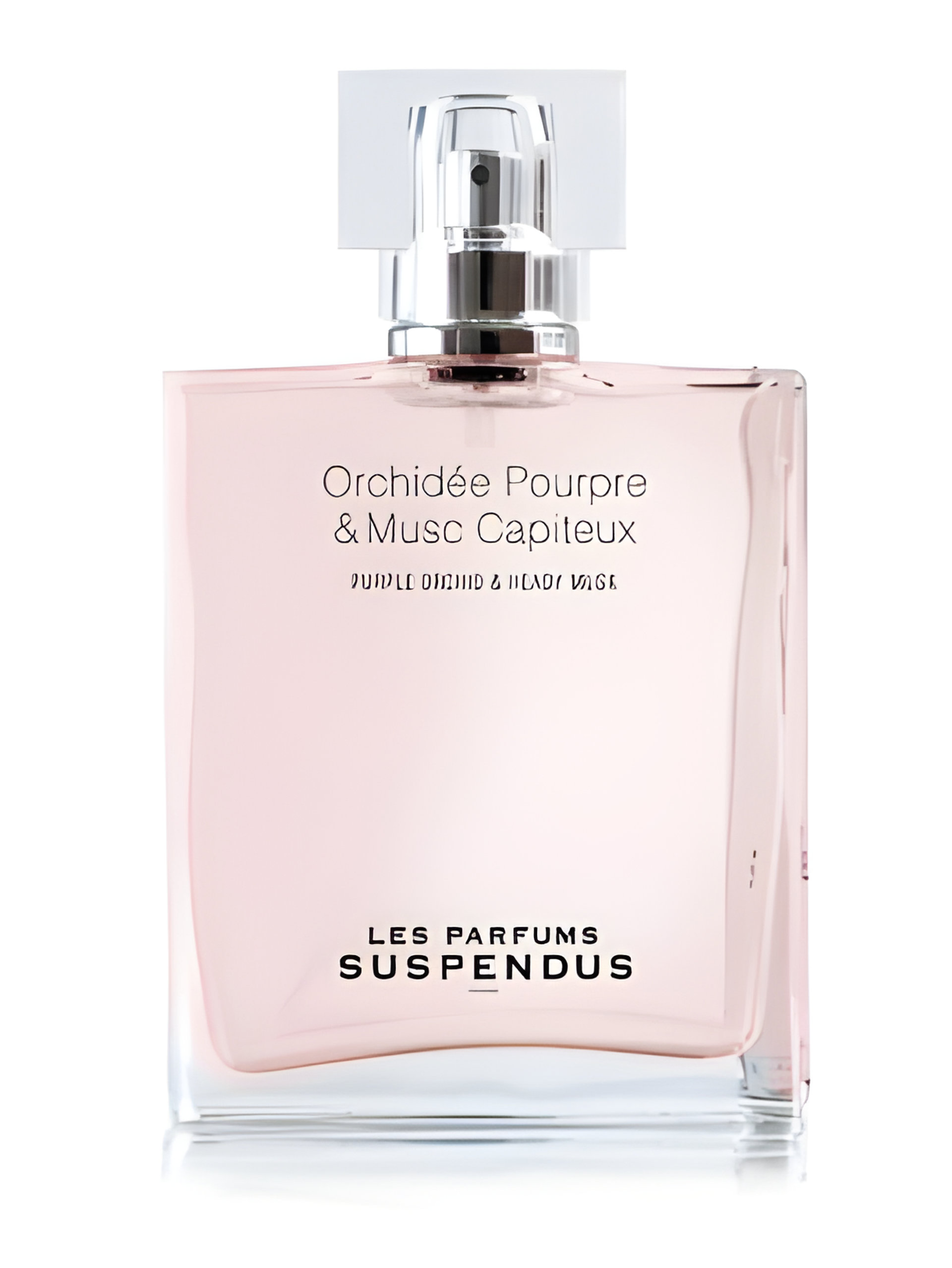 Picture of Orchidée Pourpre & Musc Capiteux fragrance