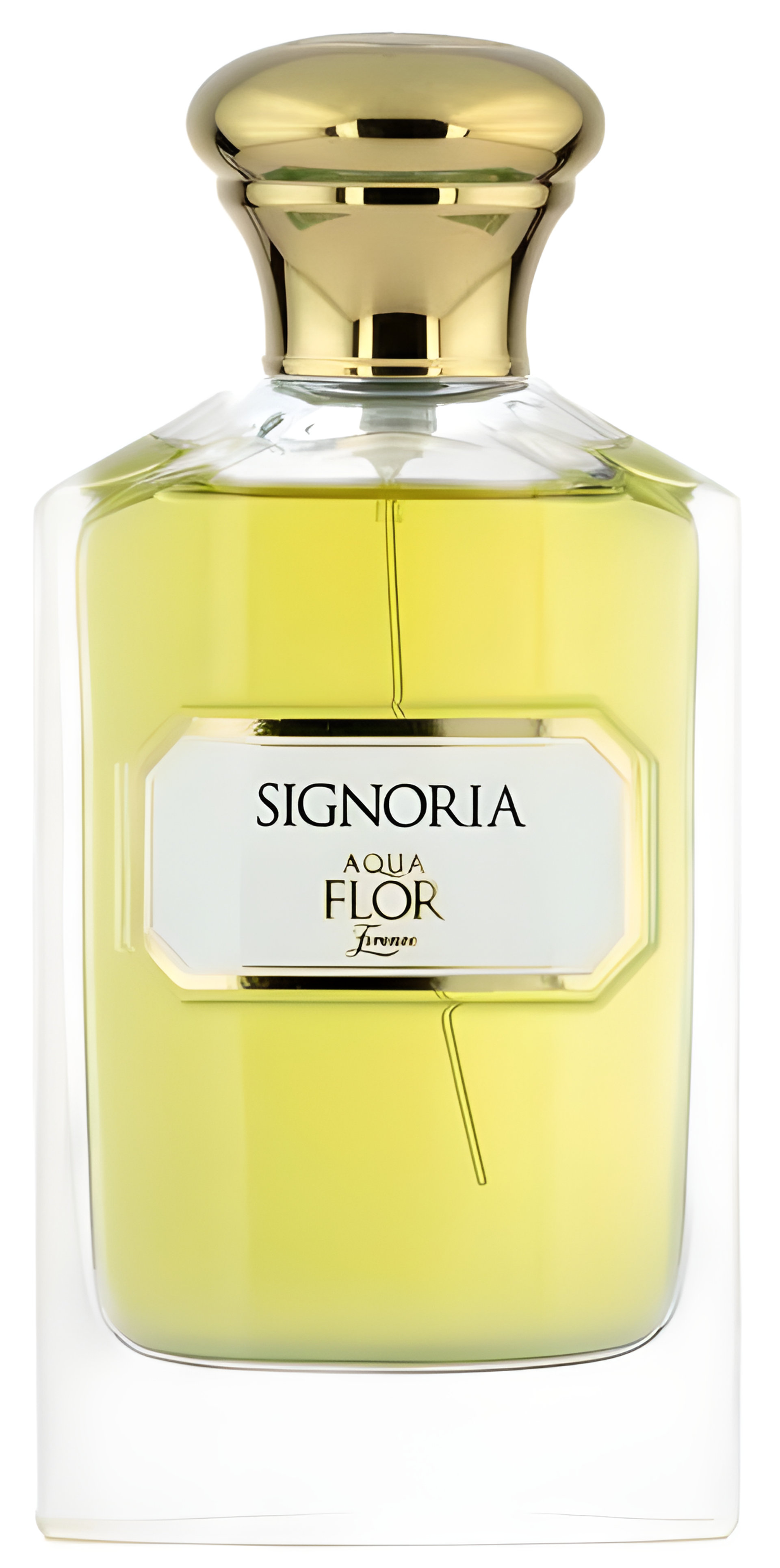 Picture of Signoria fragrance