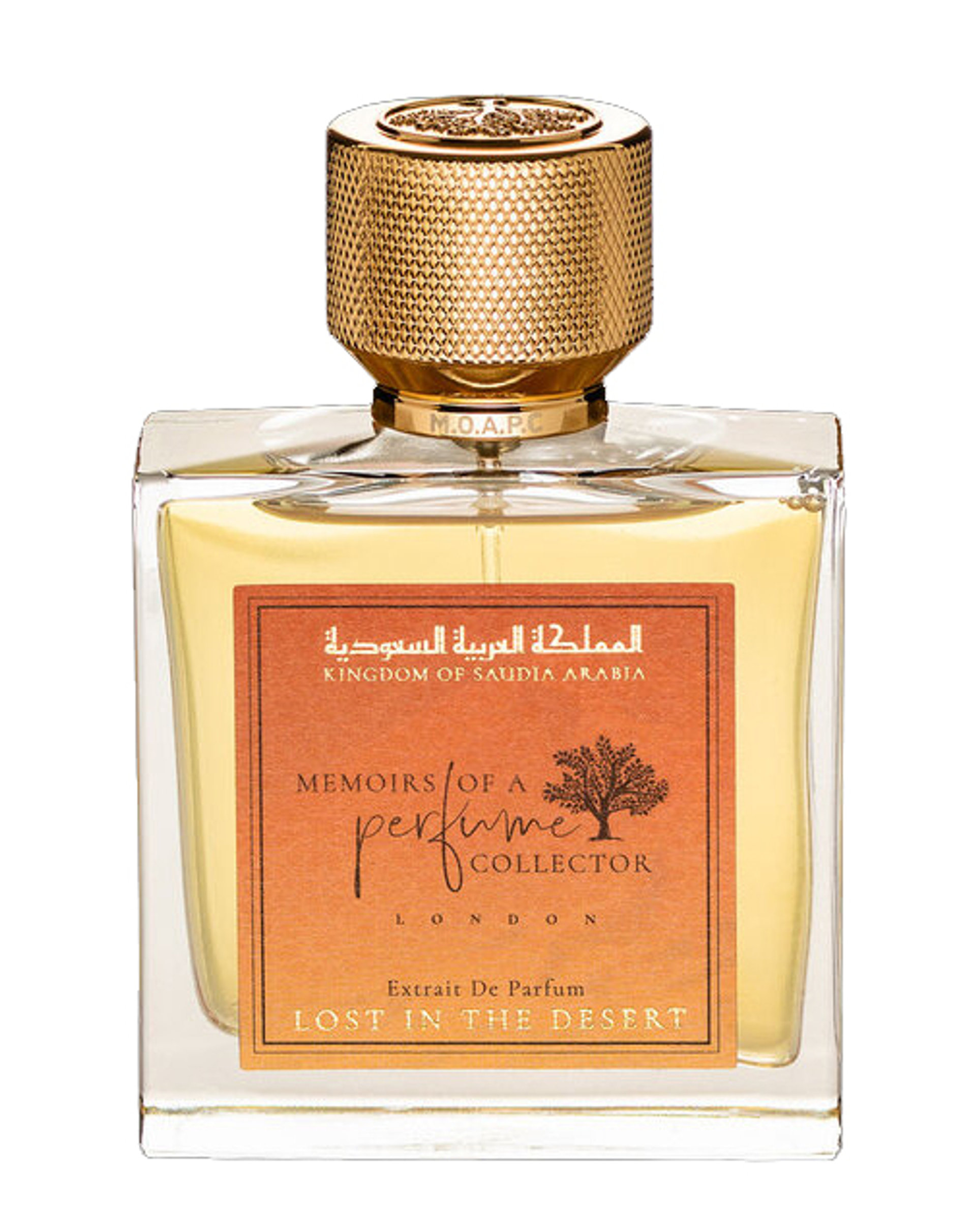 Picture of Lost in the Desert fragrance