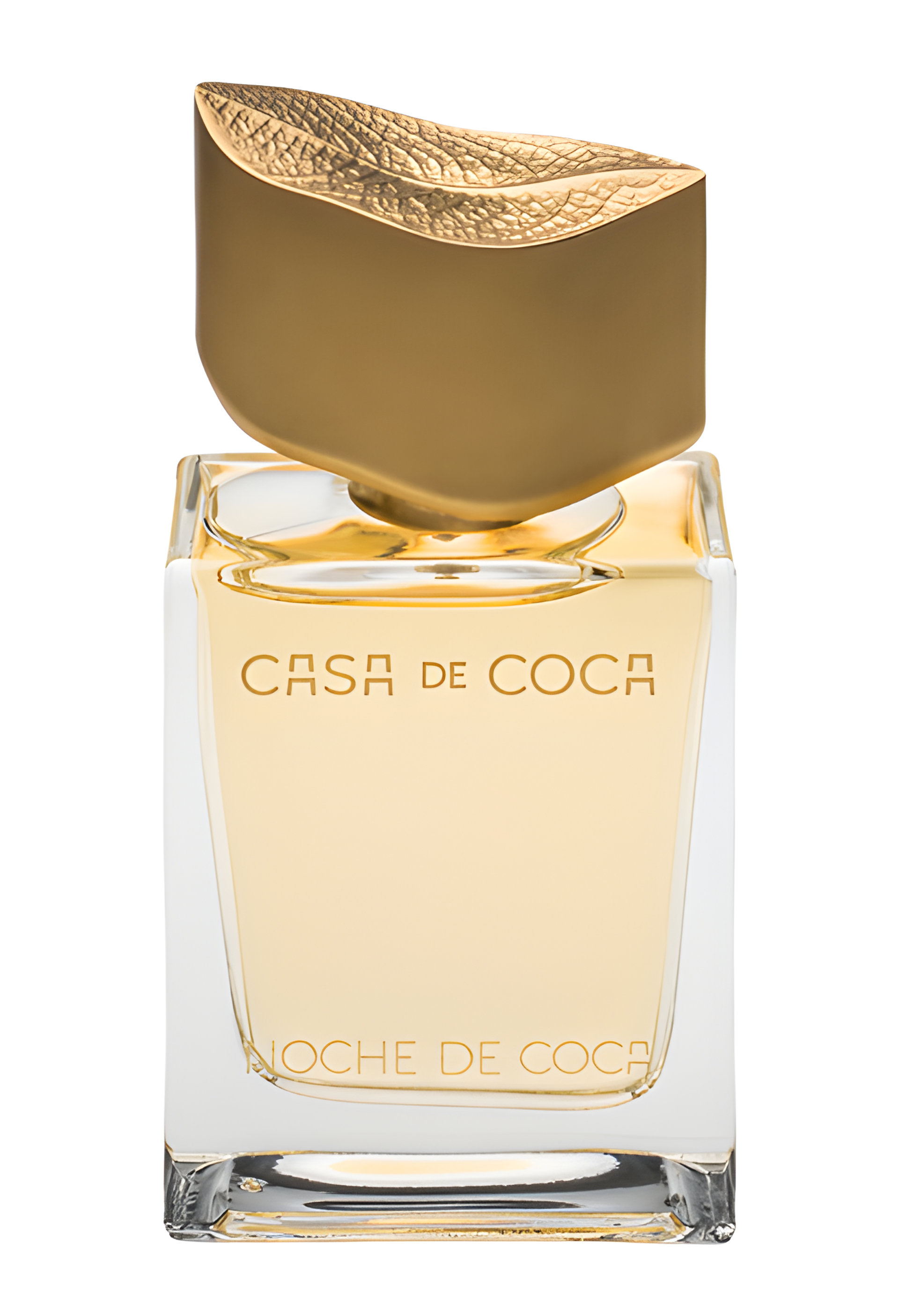 Picture of Noche de Coca fragrance