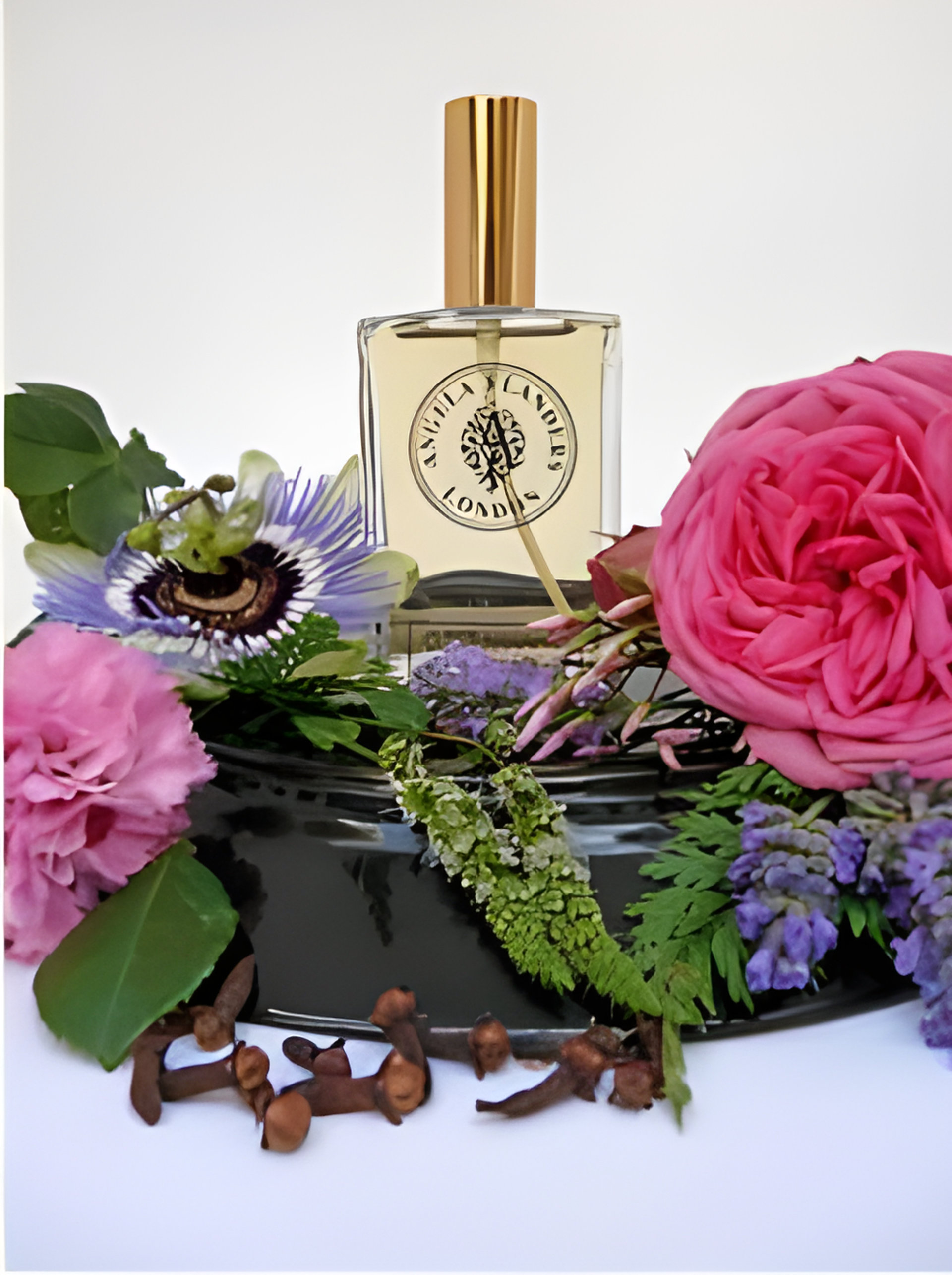 Picture of Ottoman fragrance