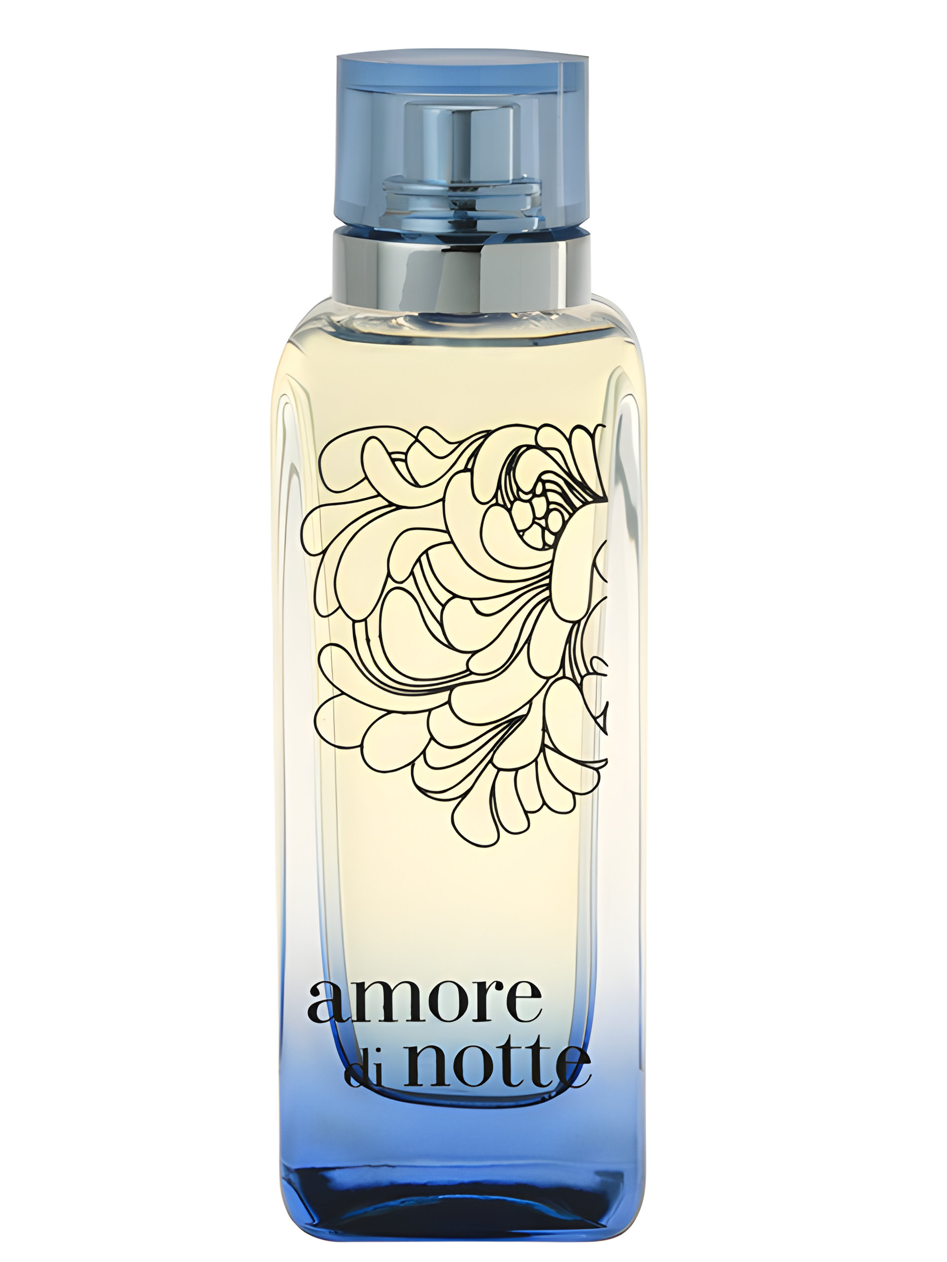 Picture of Amore Di Notte fragrance