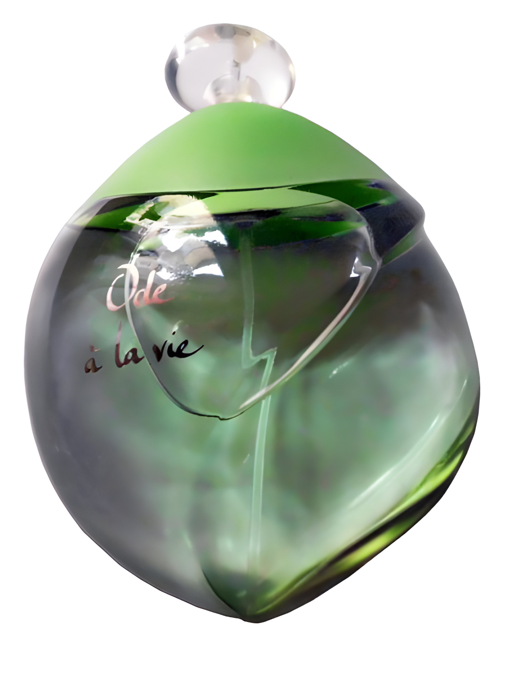 Picture of Ode a La Vie fragrance