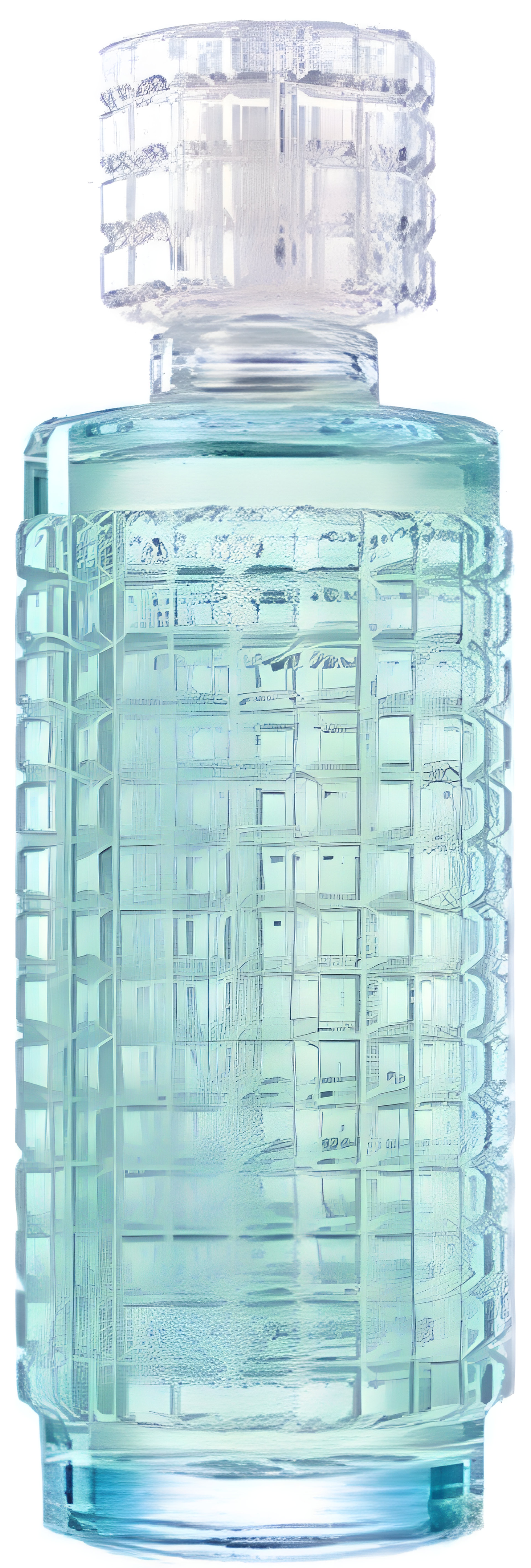 Picture of Encontro fragrance