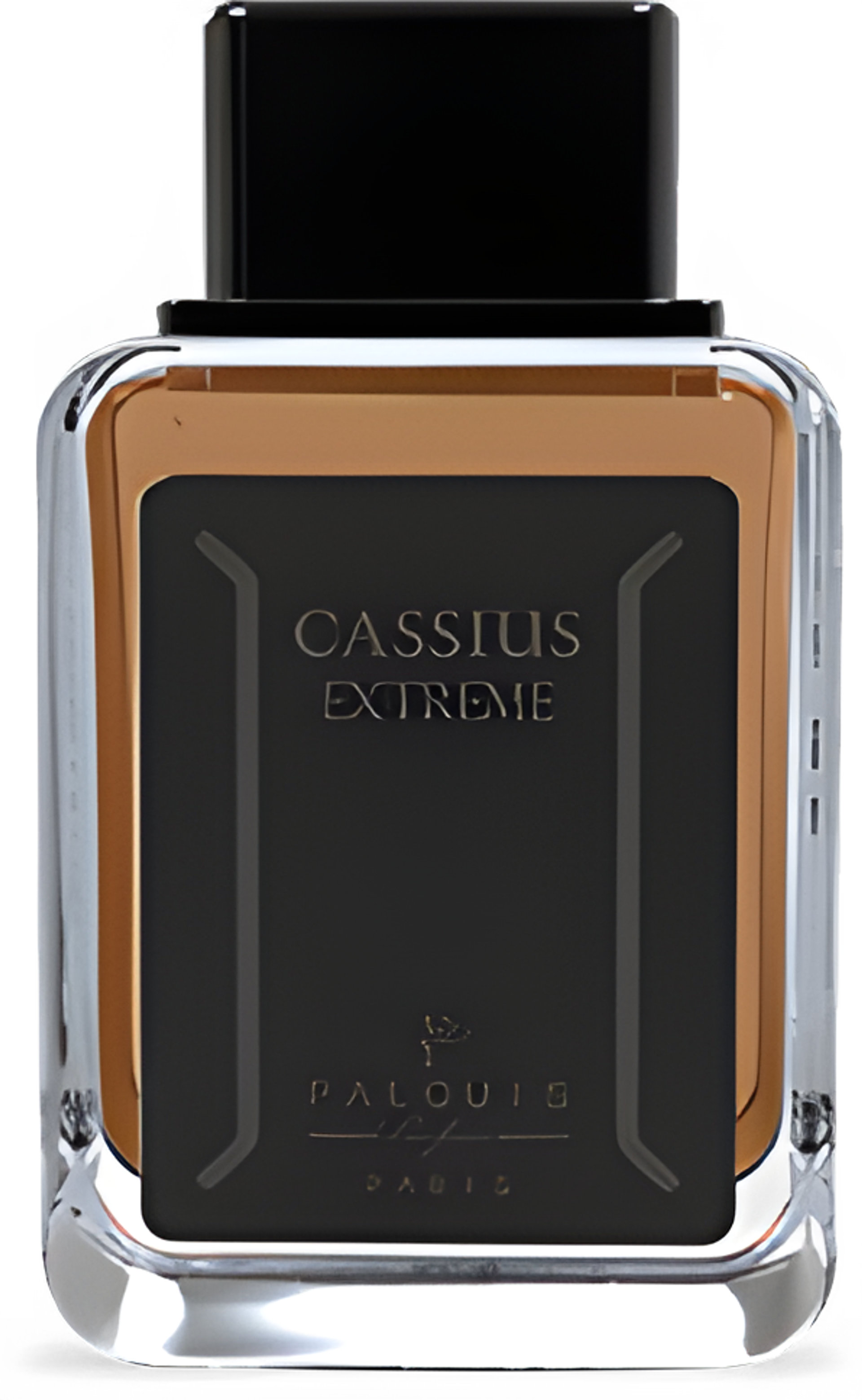 Picture of Cassius Extreme fragrance