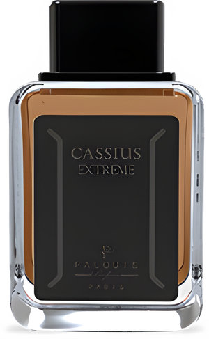 Cassius Extreme by Palquis perfume bottle