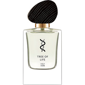 Holy Herb by Tree Of Life perfume bottle