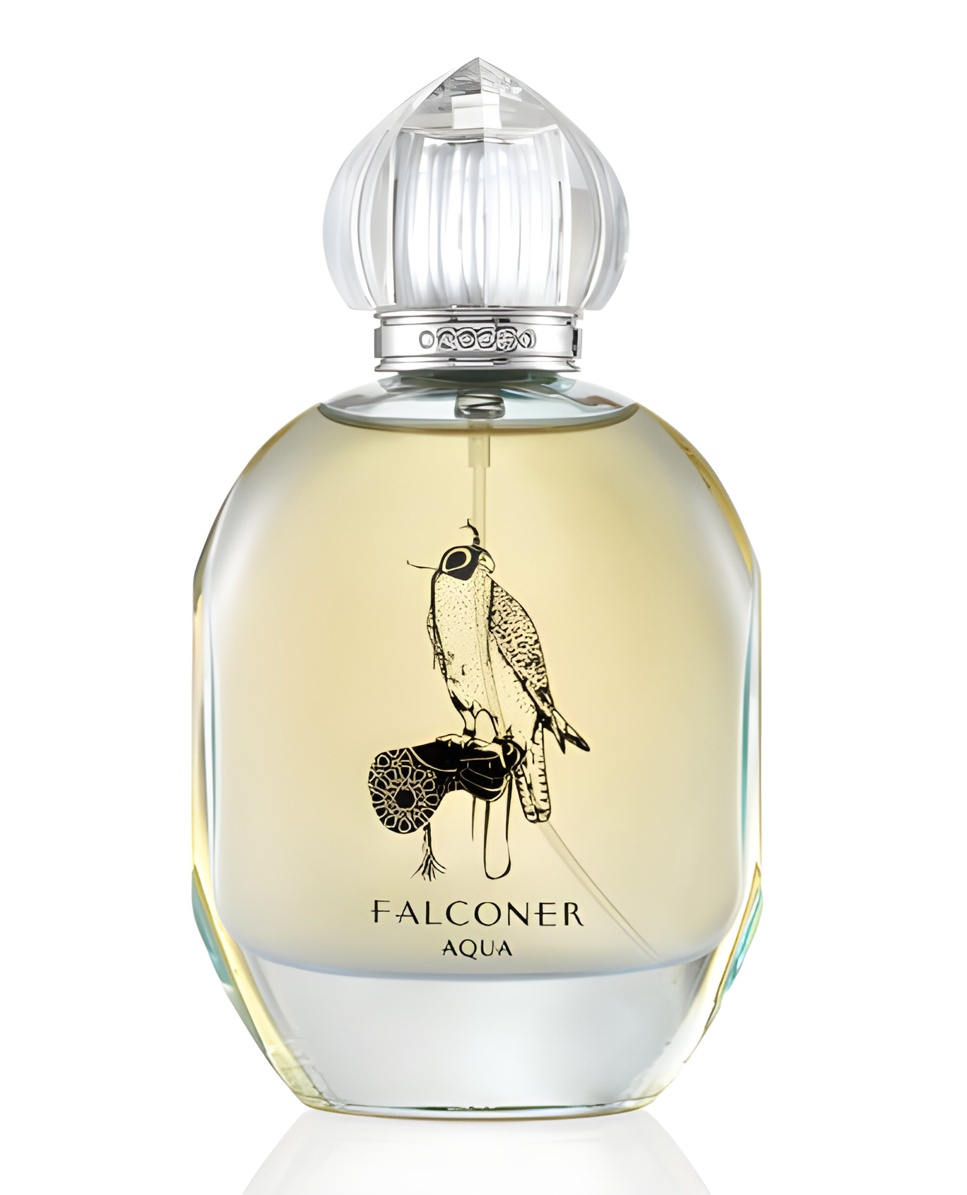 Picture of Falconer Aqua fragrance