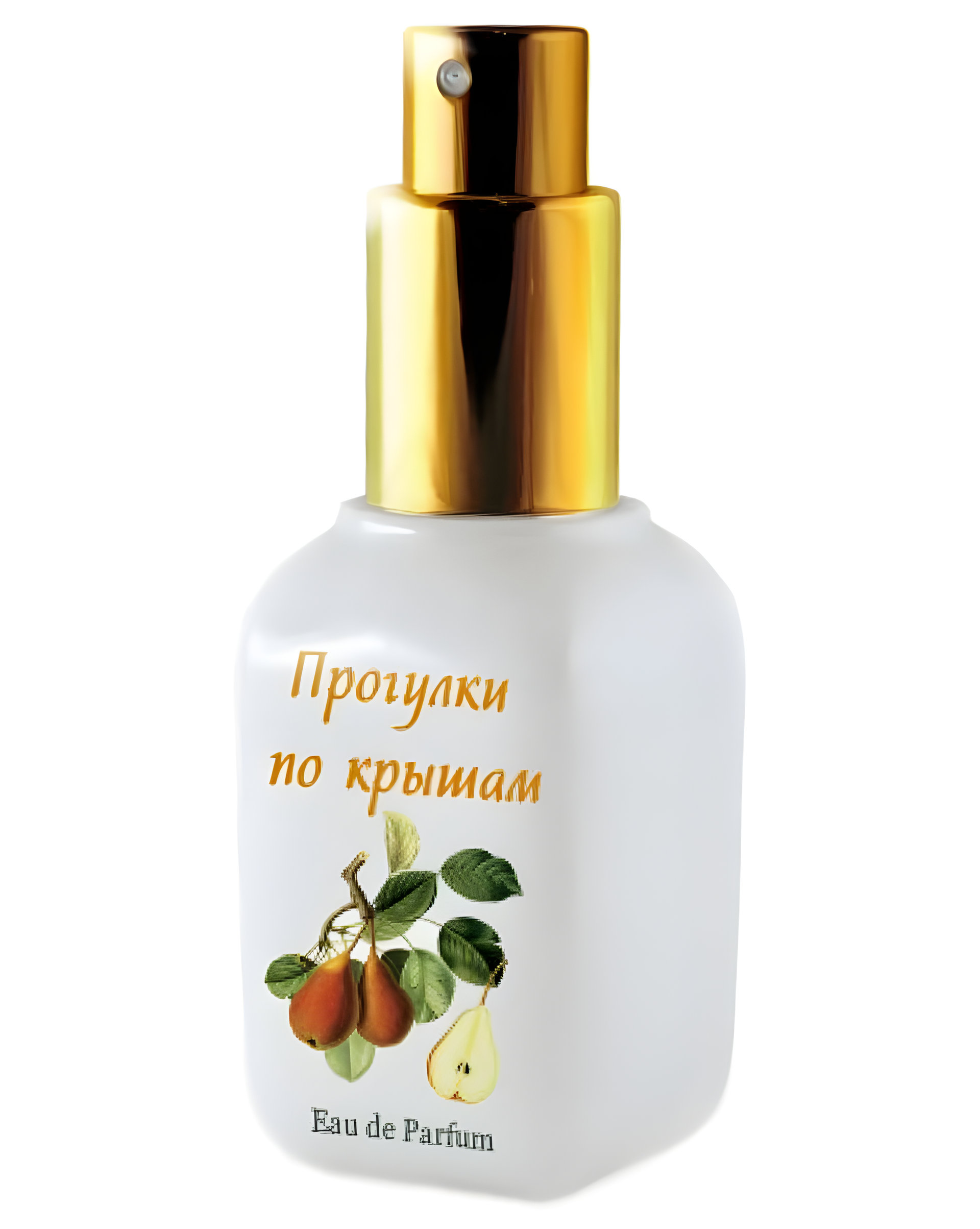 Picture of Rooftop Walks (Прогулки По Крышам) fragrance