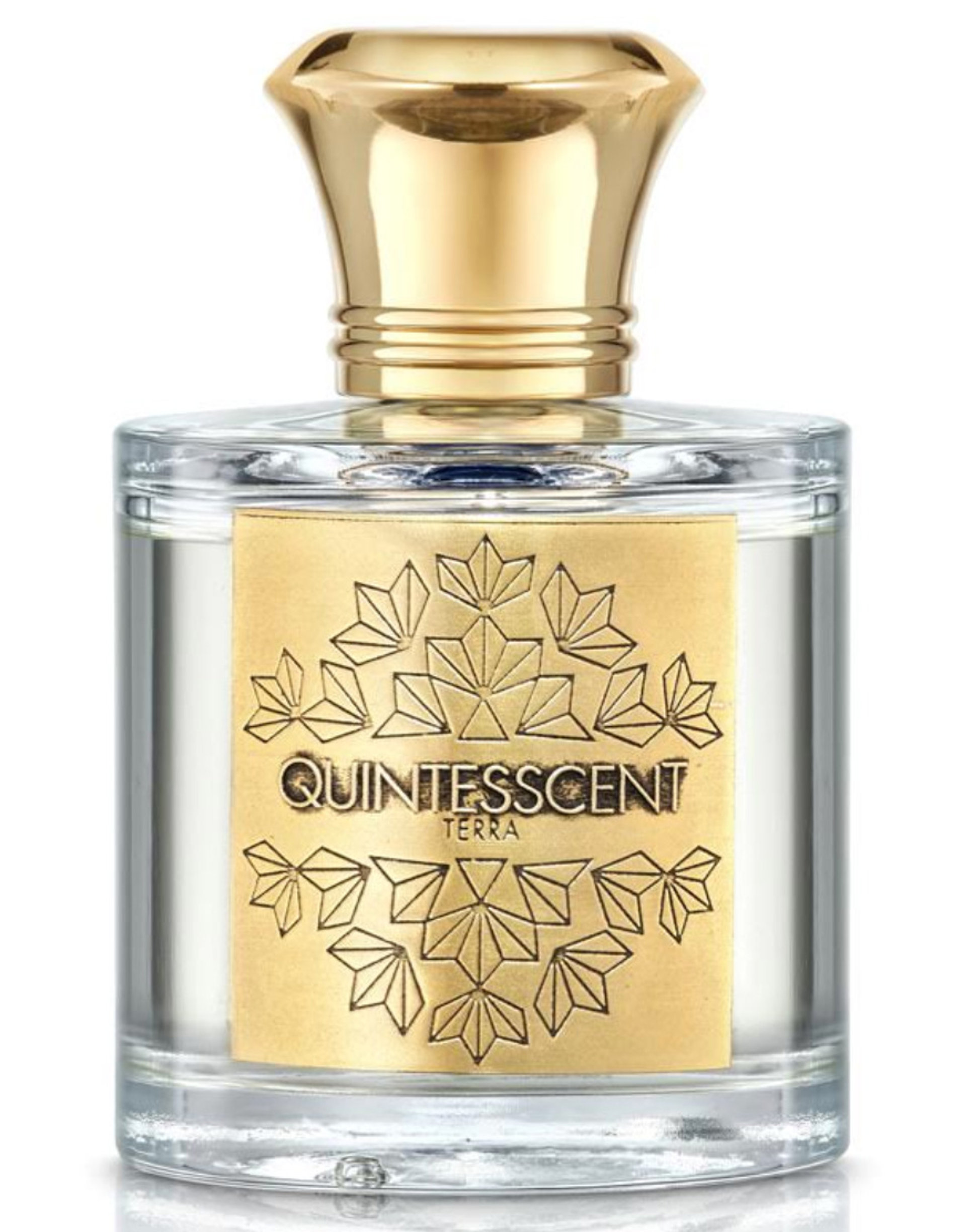 Picture of Terra fragrance