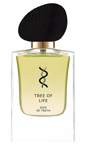 Seed of Truth by Tree Of Life perfume bottle