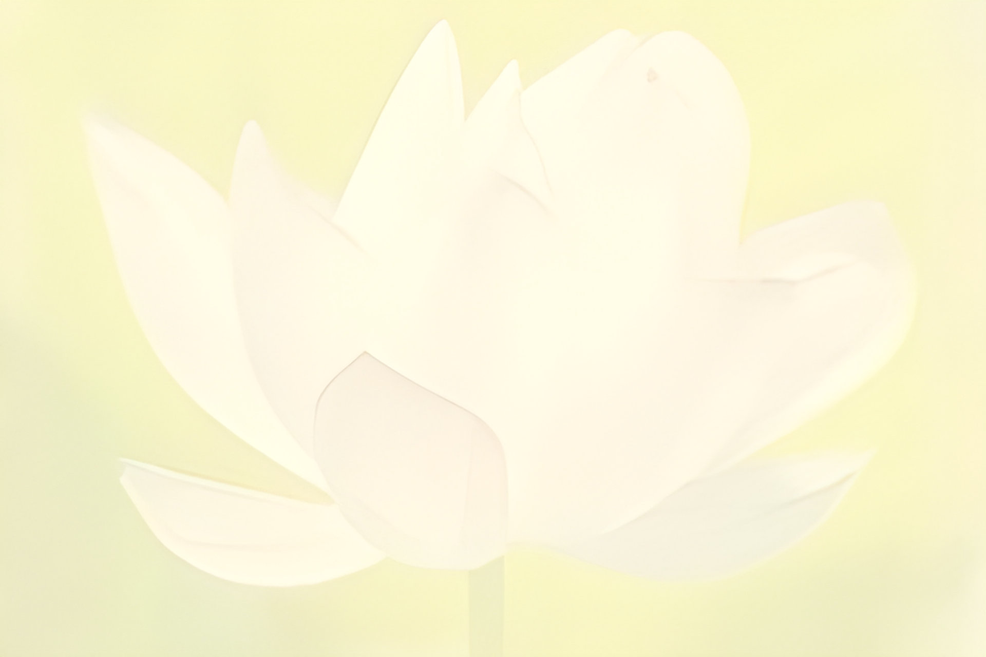 Picture of Montgomery Taylor brand