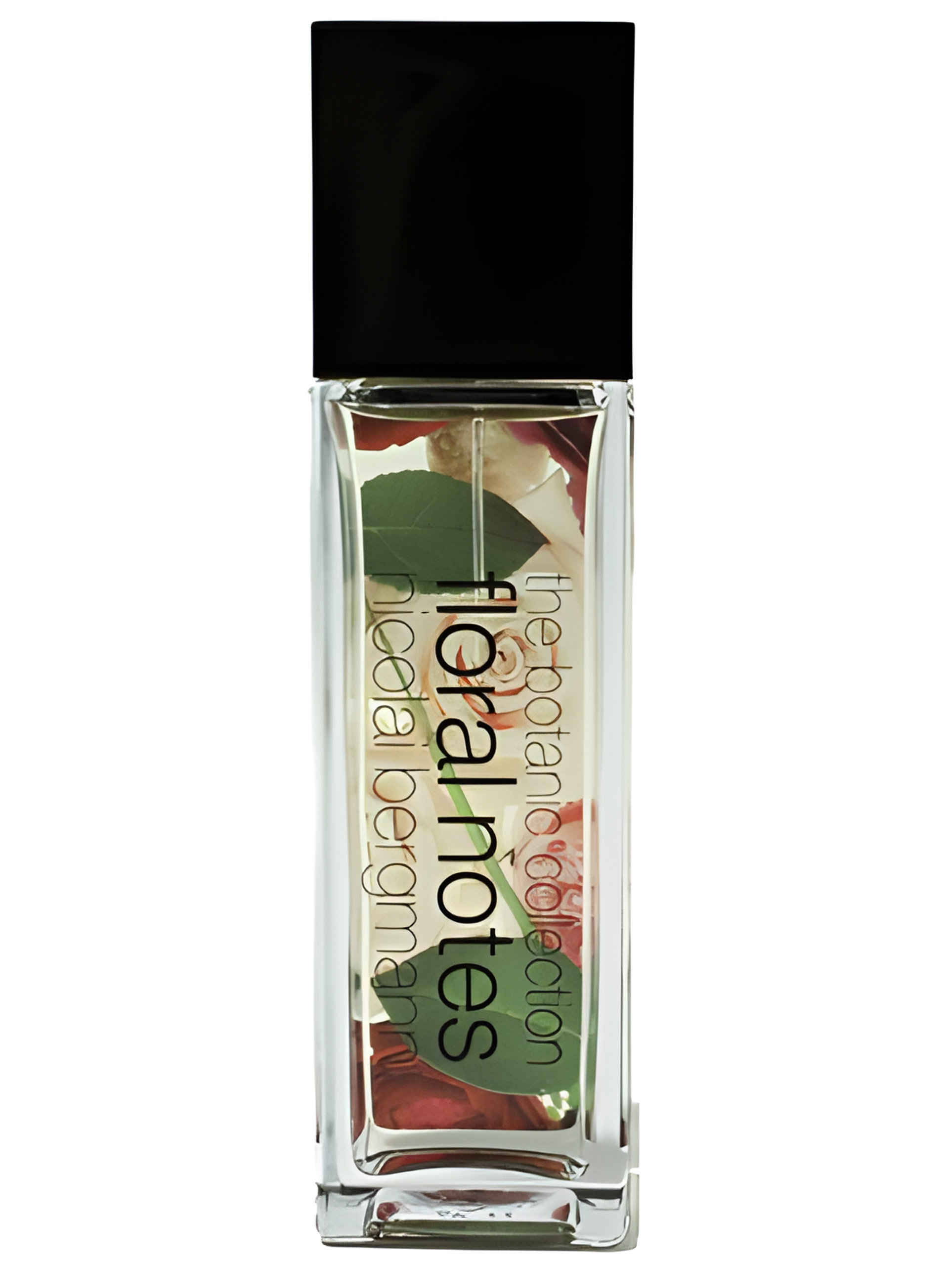 Picture of Sahara Rose fragrance