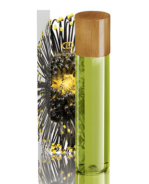 Taiga by DayNa Decker perfume bottle
