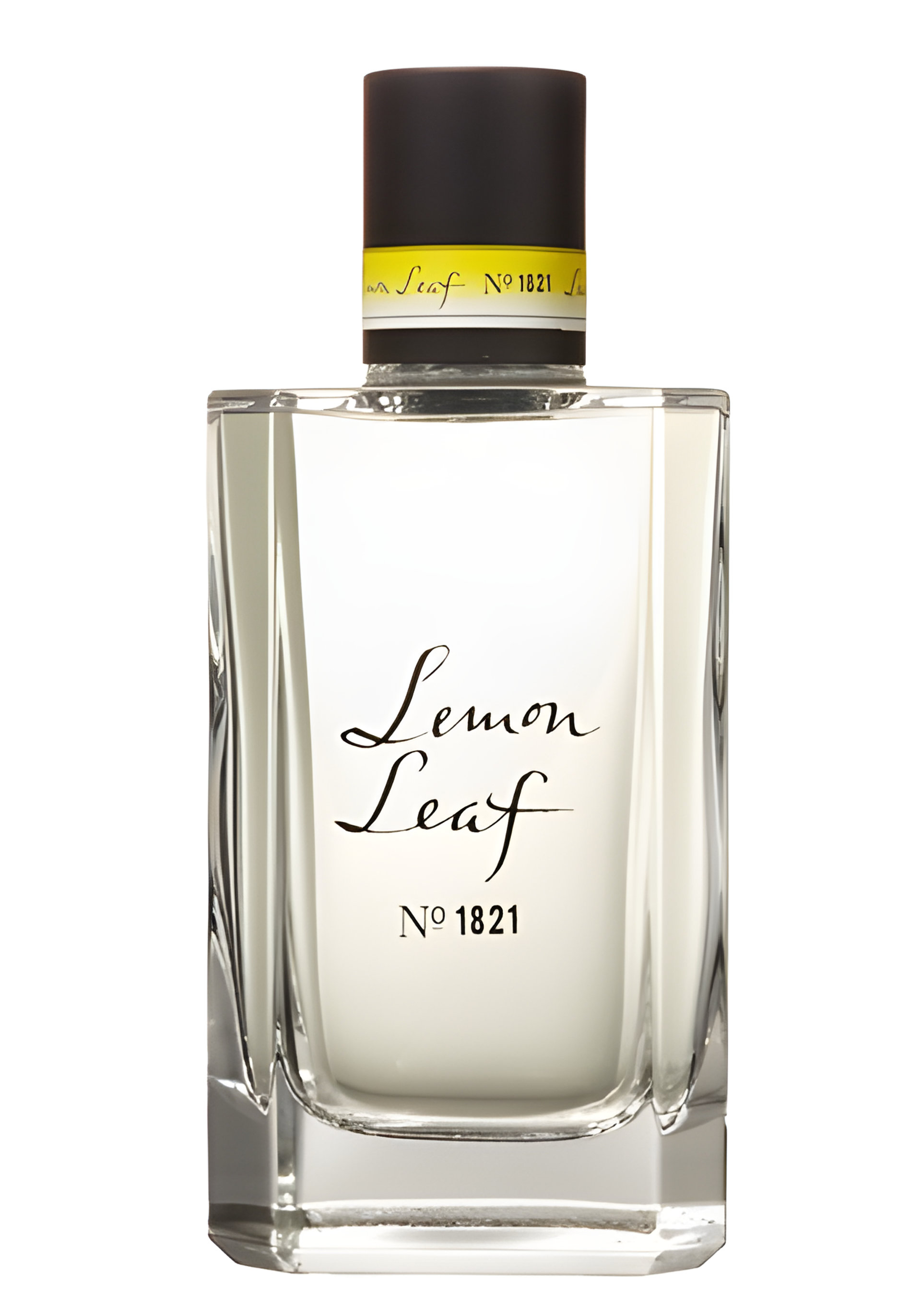 Picture of Lemon Leaf No.1821 fragrance