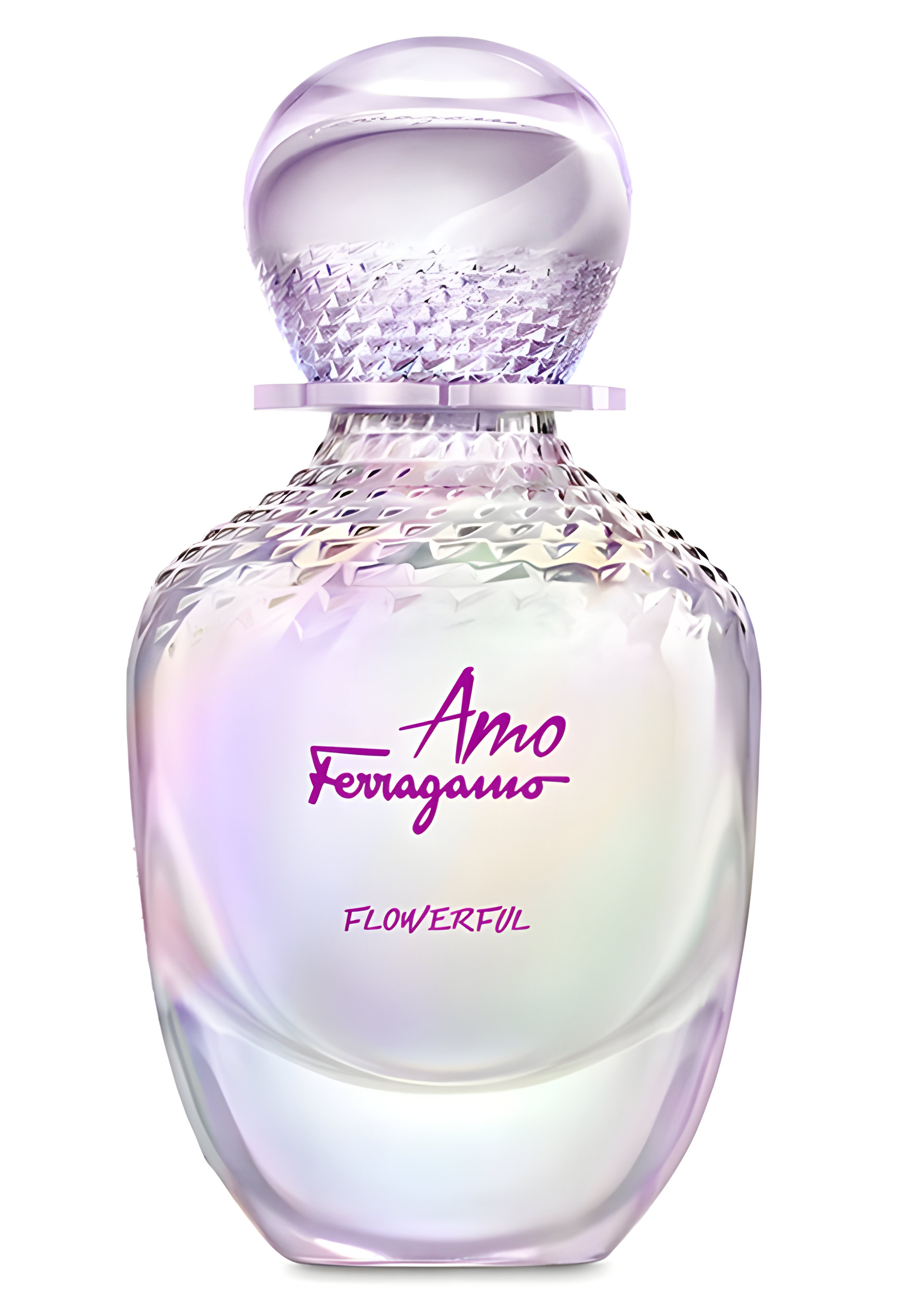 Picture of Amo Ferragamo Flowerful fragrance