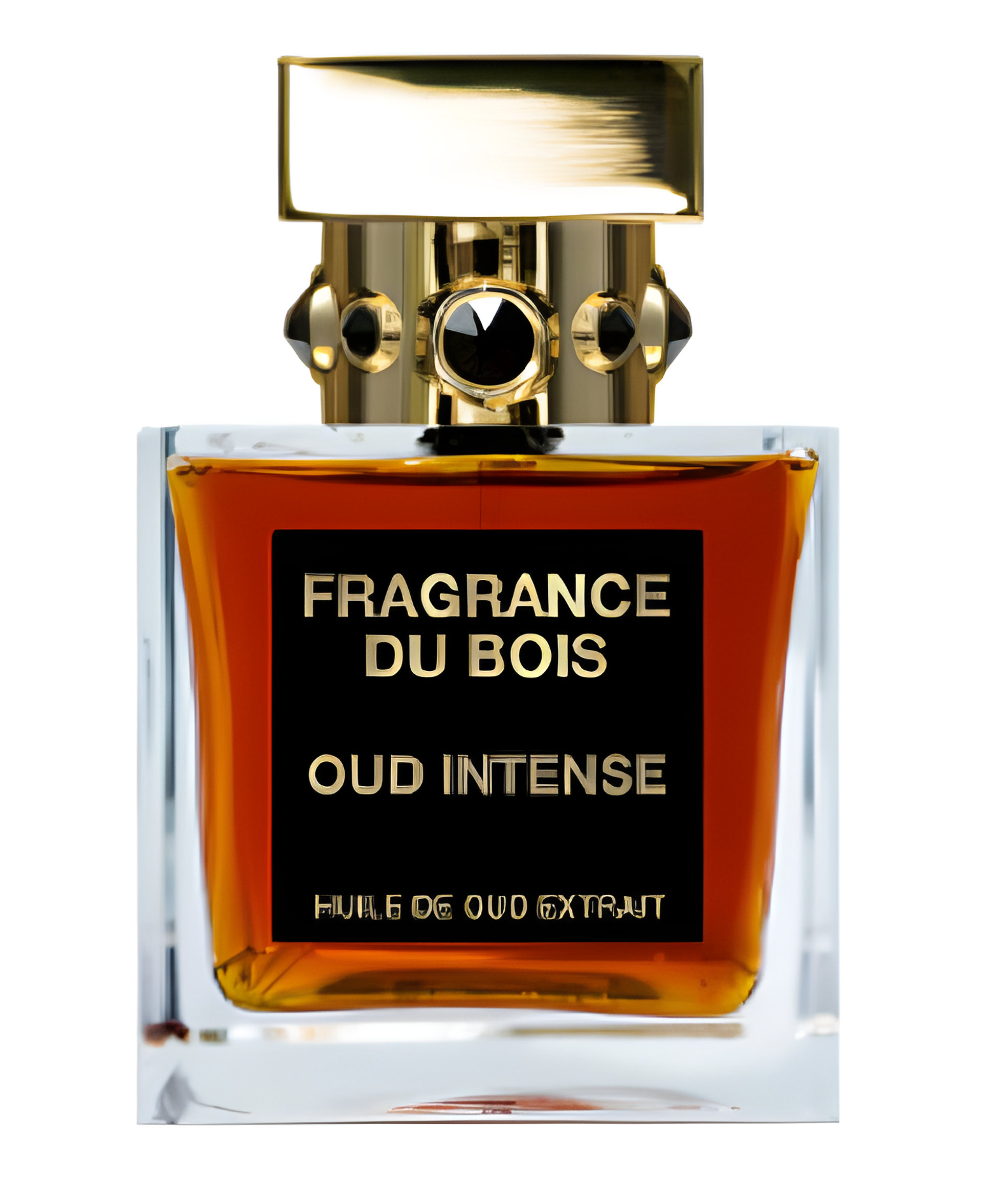 Oud Intense by Fragrance Du Bois