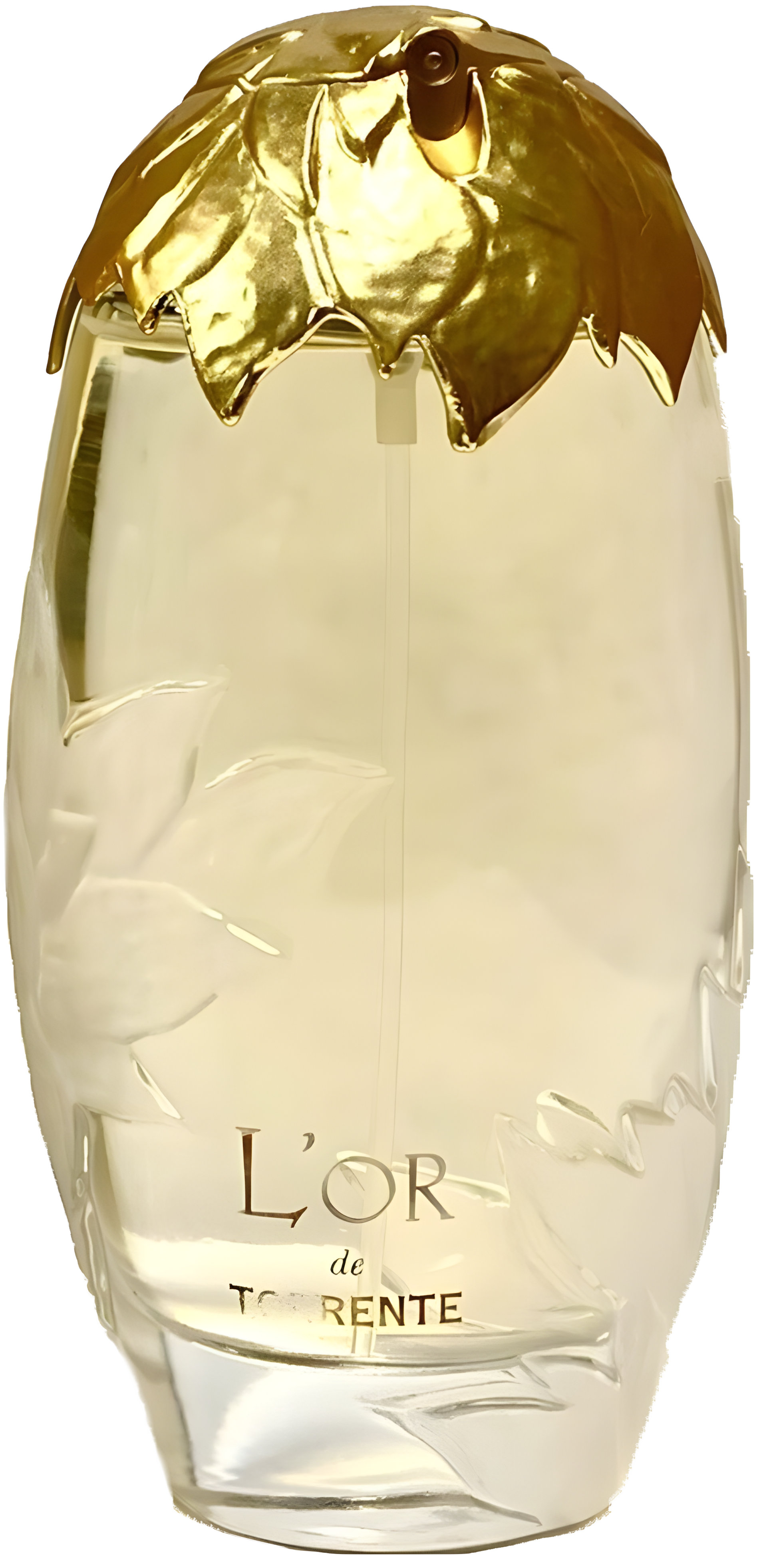 Picture of L'Or de Torrente Eau de Toilette fragrance