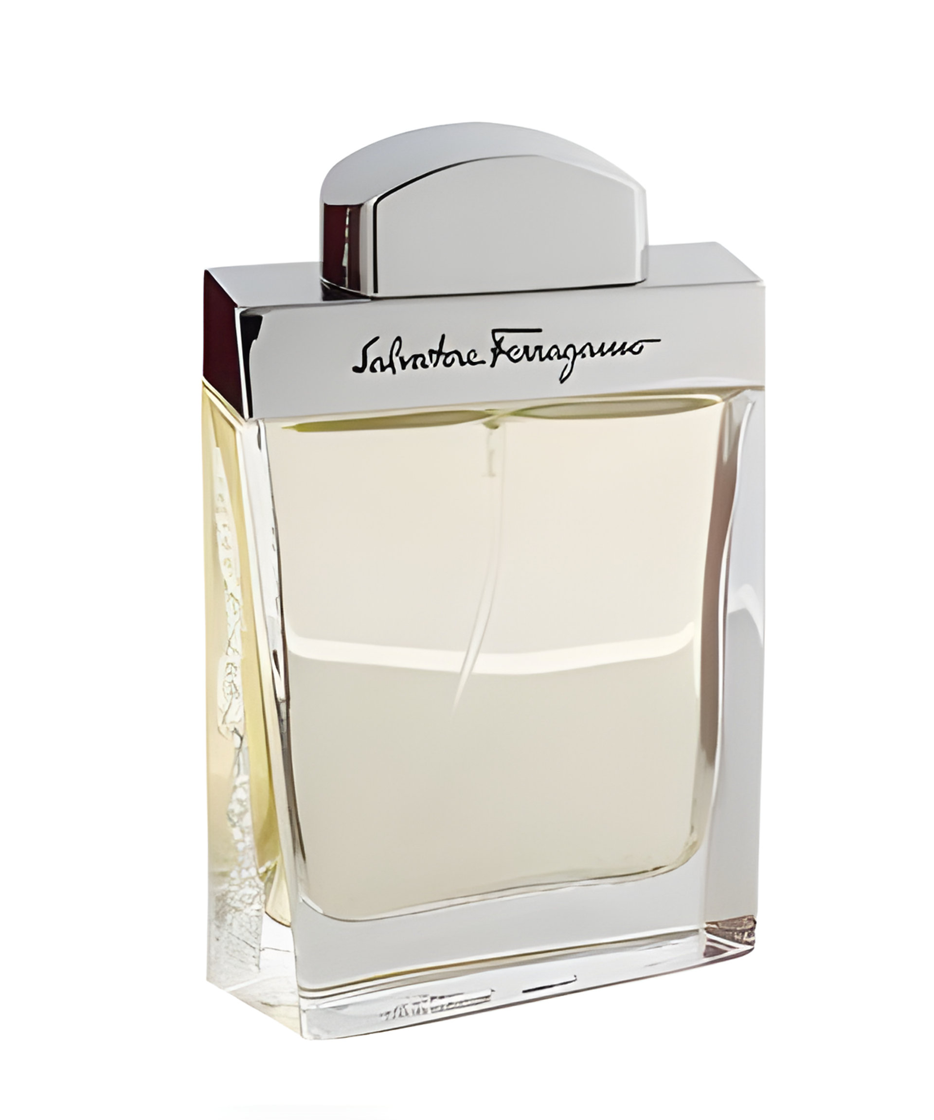 Picture of Salvatore Ferragamo Pour Homme fragrance