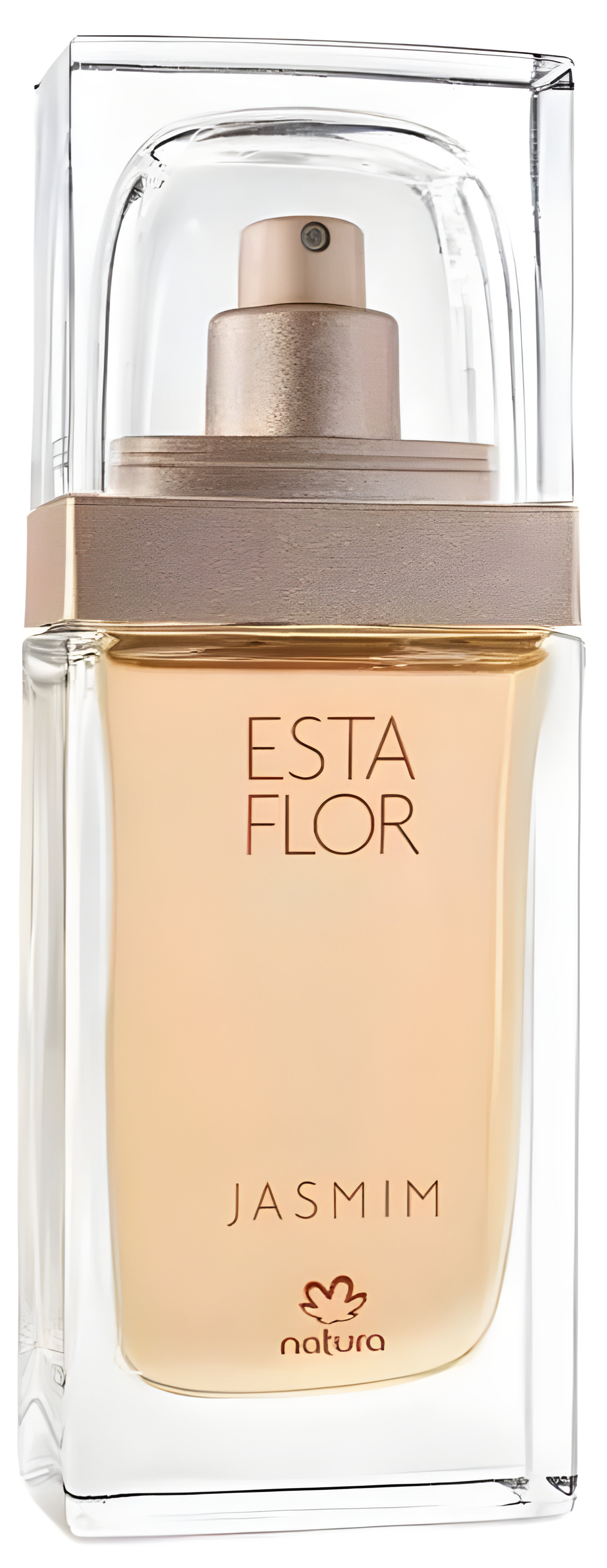 Picture of Esta Flor Jasmim fragrance