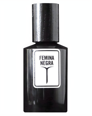 Femina Negra by Olfacto perfume bottle