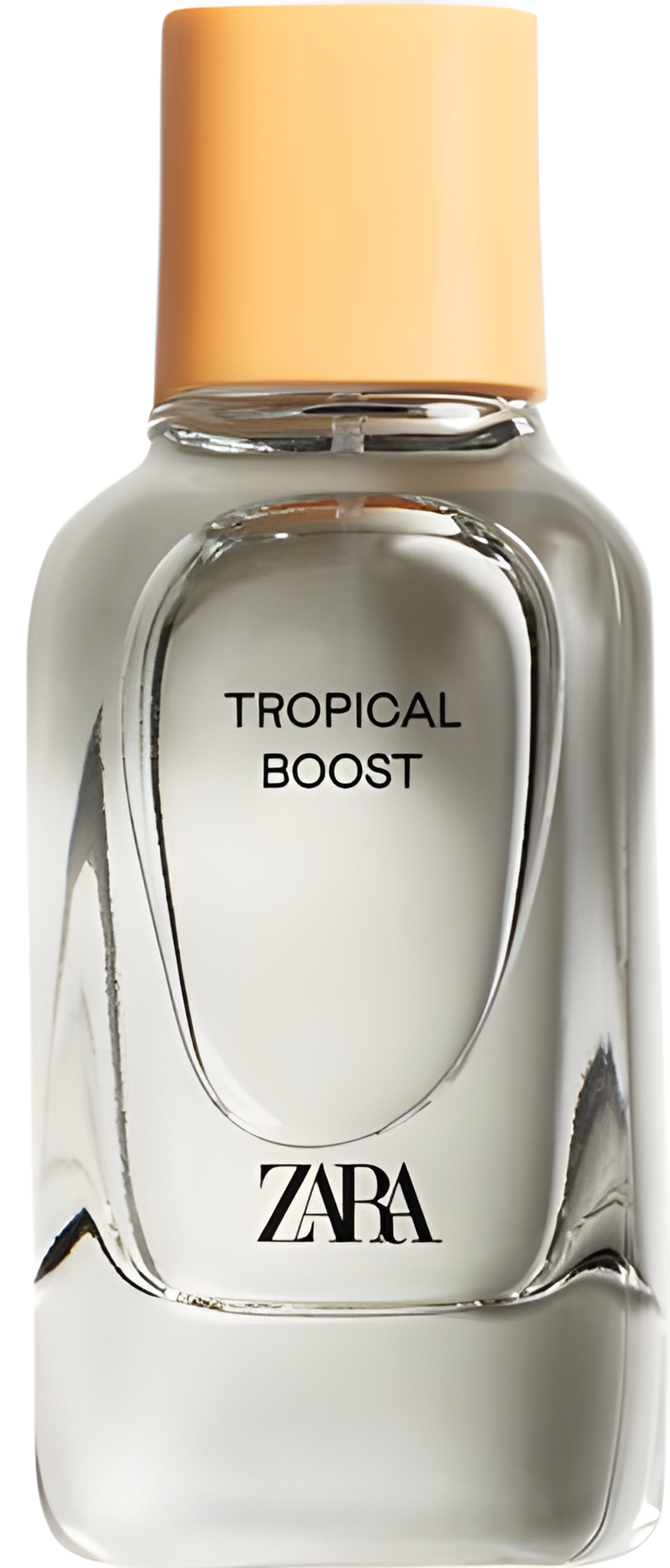 Picture of Tropical Boost fragrance