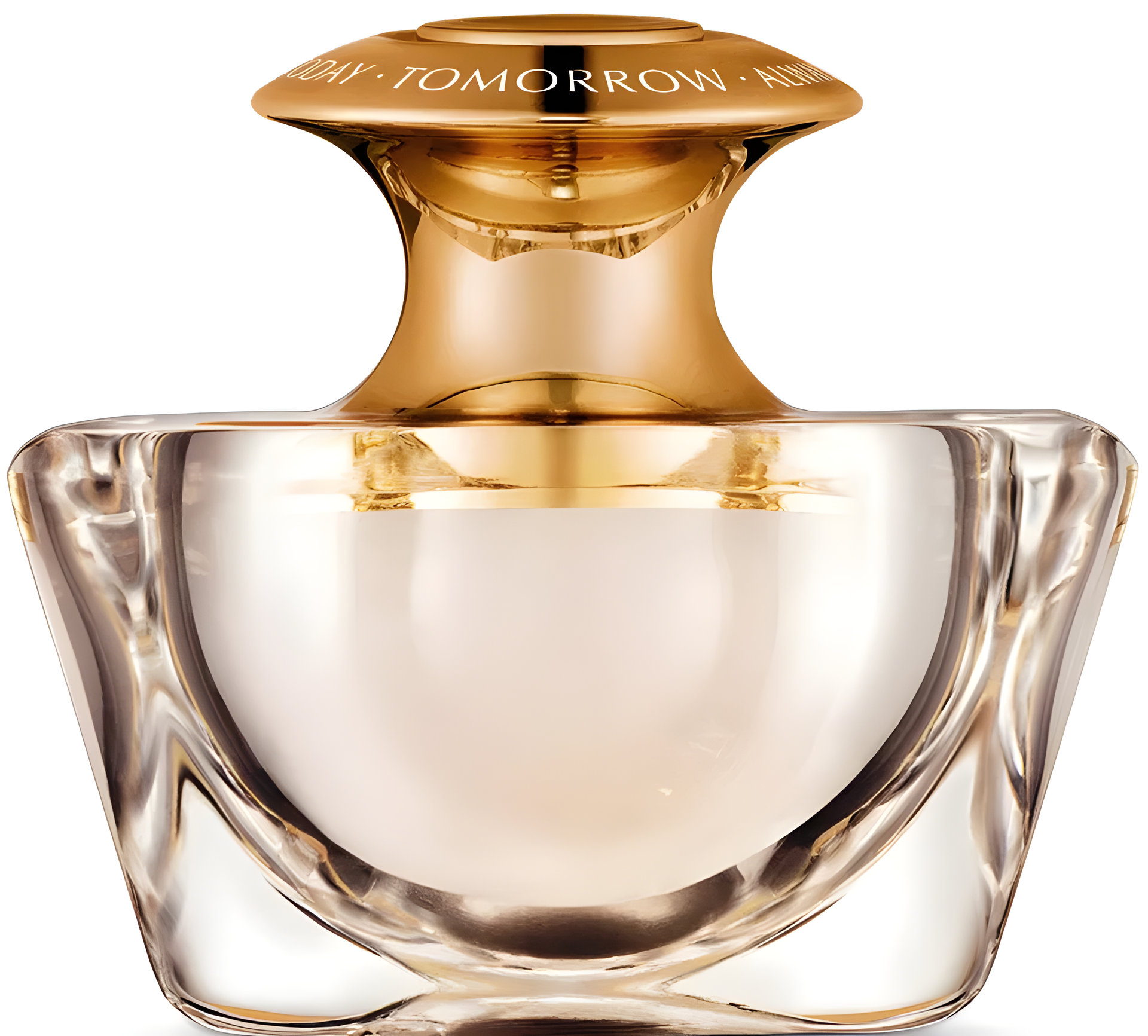 Picture of Today Tomorrow Always Eternal fragrance