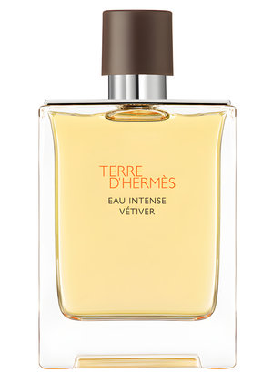 Picture of Terre D'Hermes Eau Intense Vetiver fragrance
