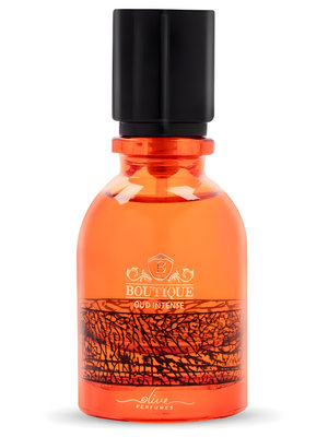 Oud Intense by Olive Perfumes perfume bottle