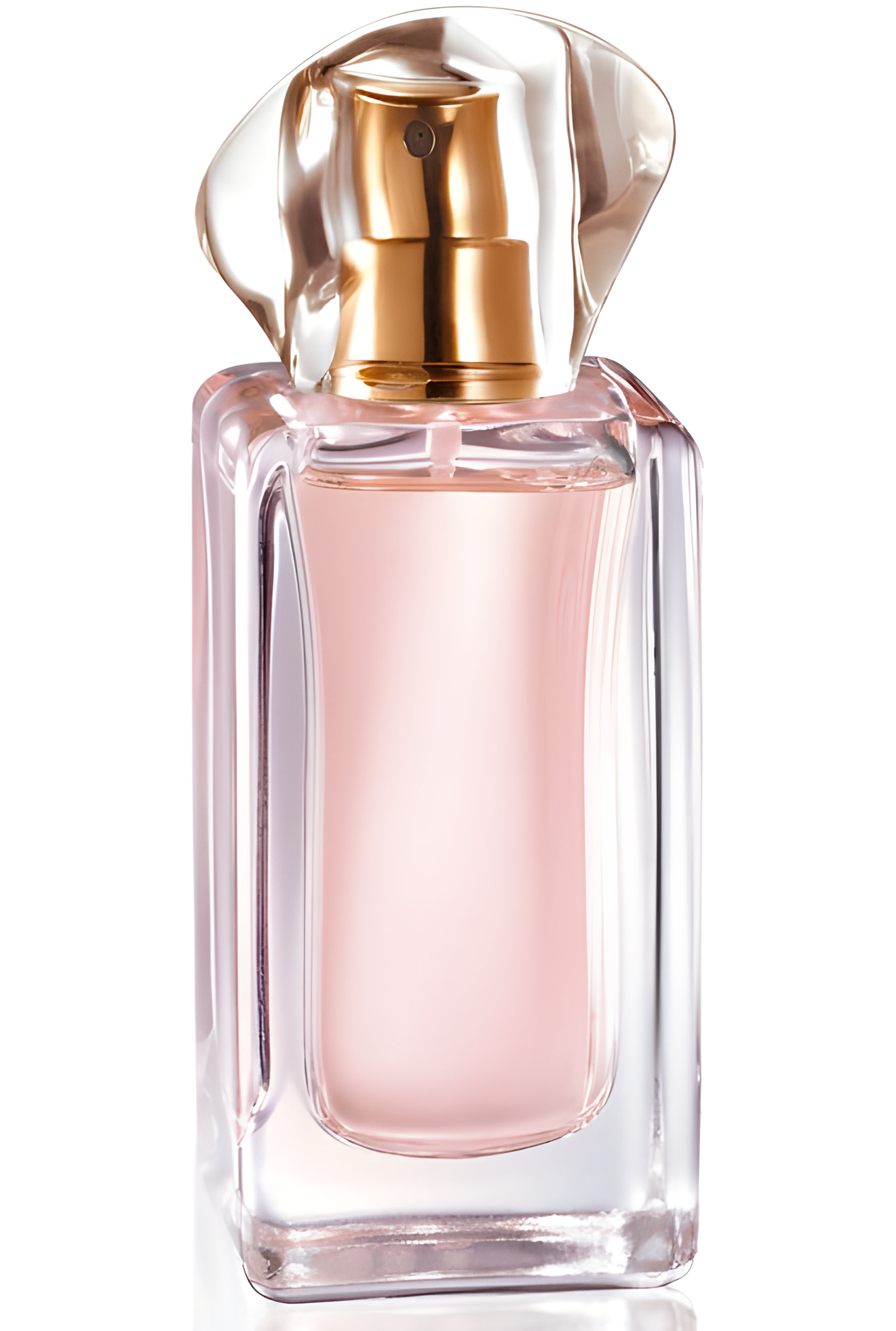 Picture of Today Tomorrow Always Forever fragrance