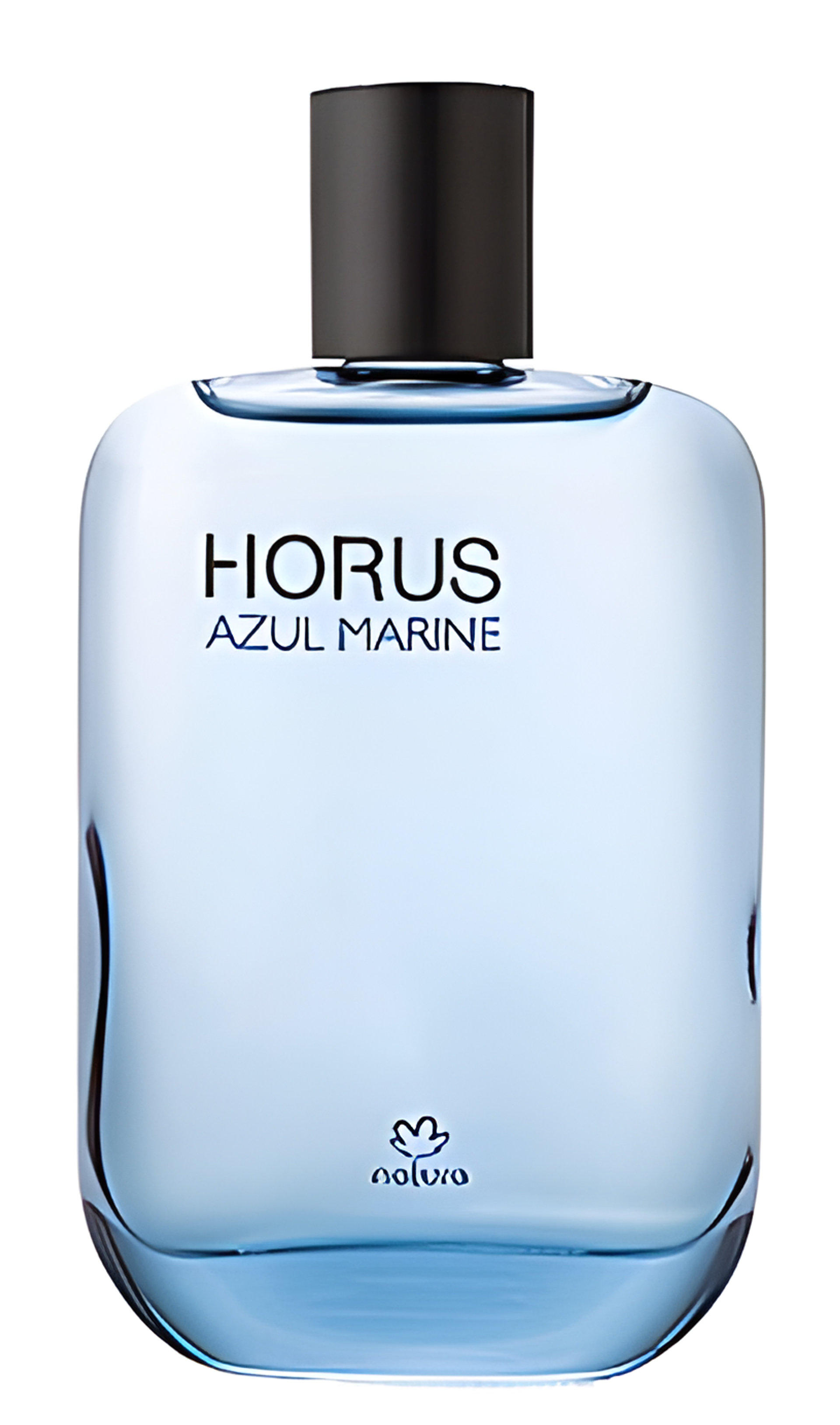 Picture of Azul Marine fragrance