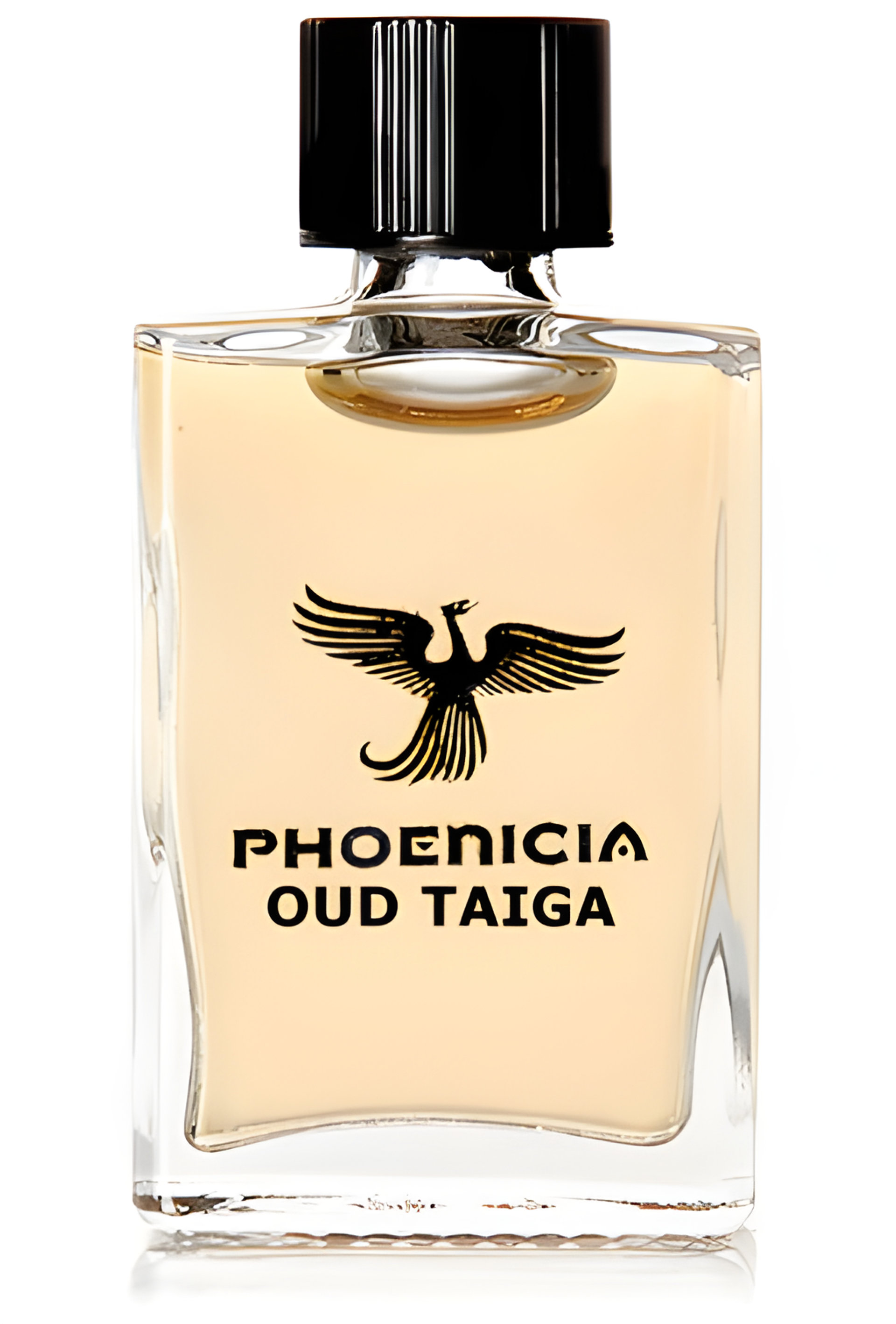Picture of Oud Taiga fragrance