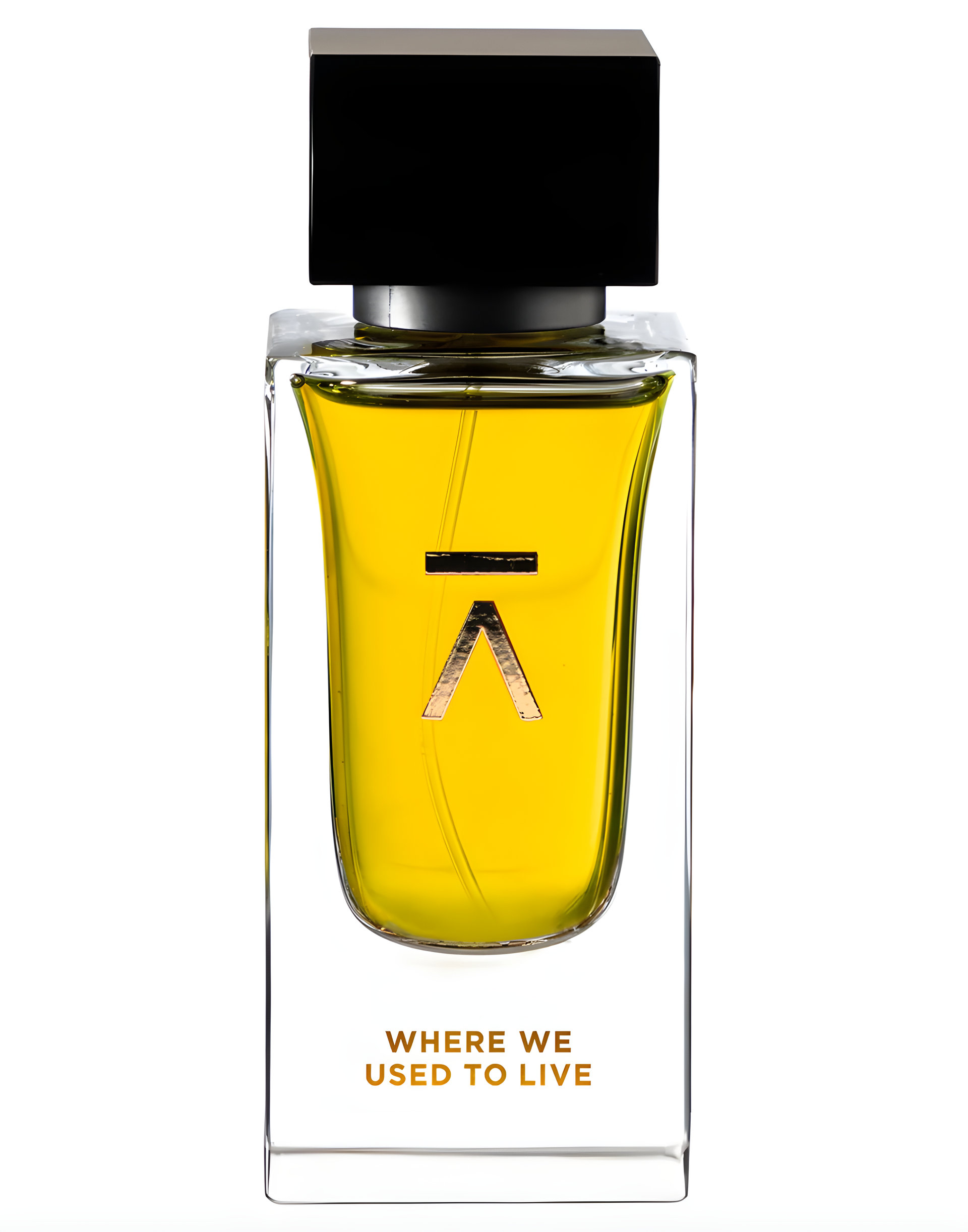 Picture of Where We Used to Live fragrance