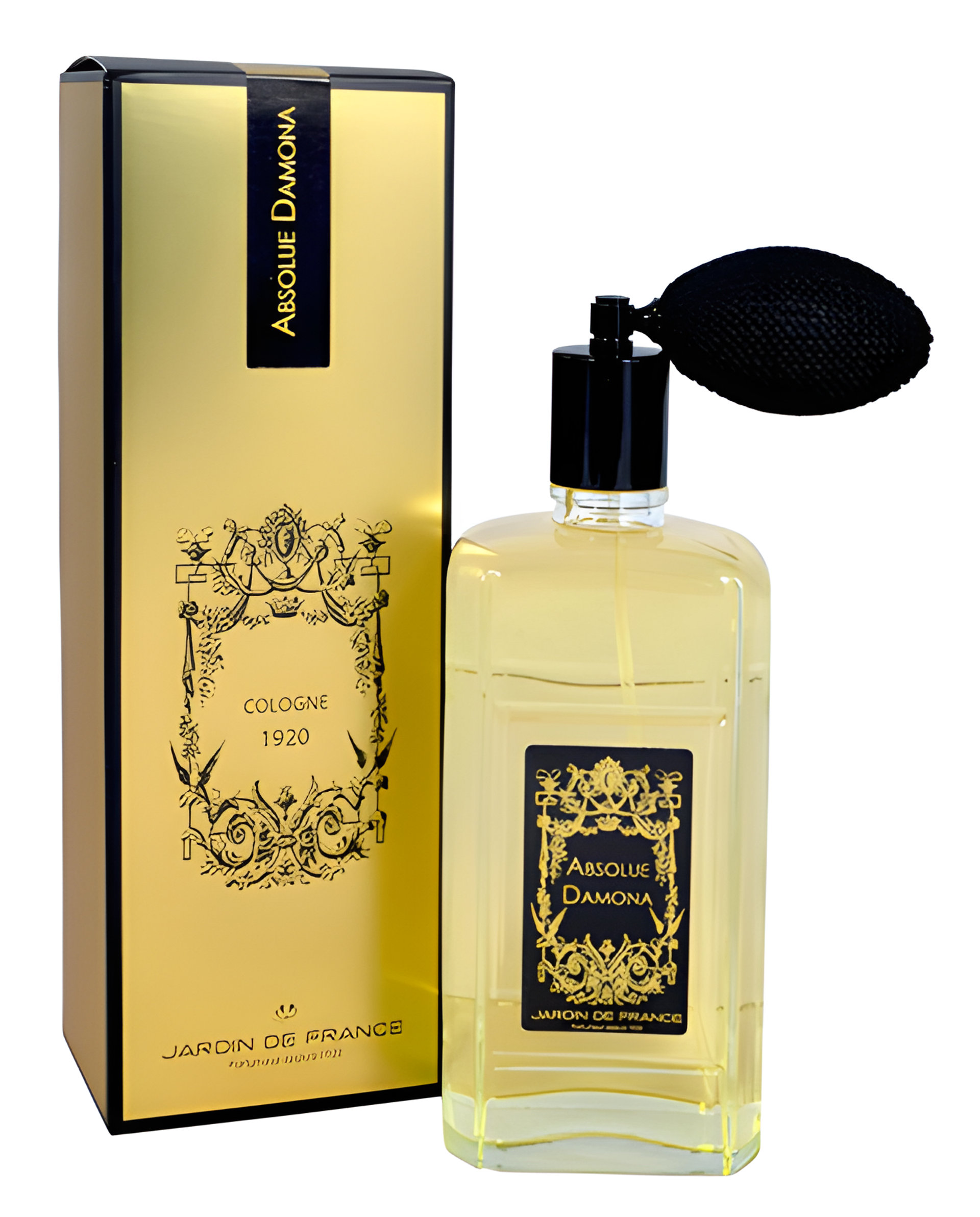Picture of Absolue Damona fragrance