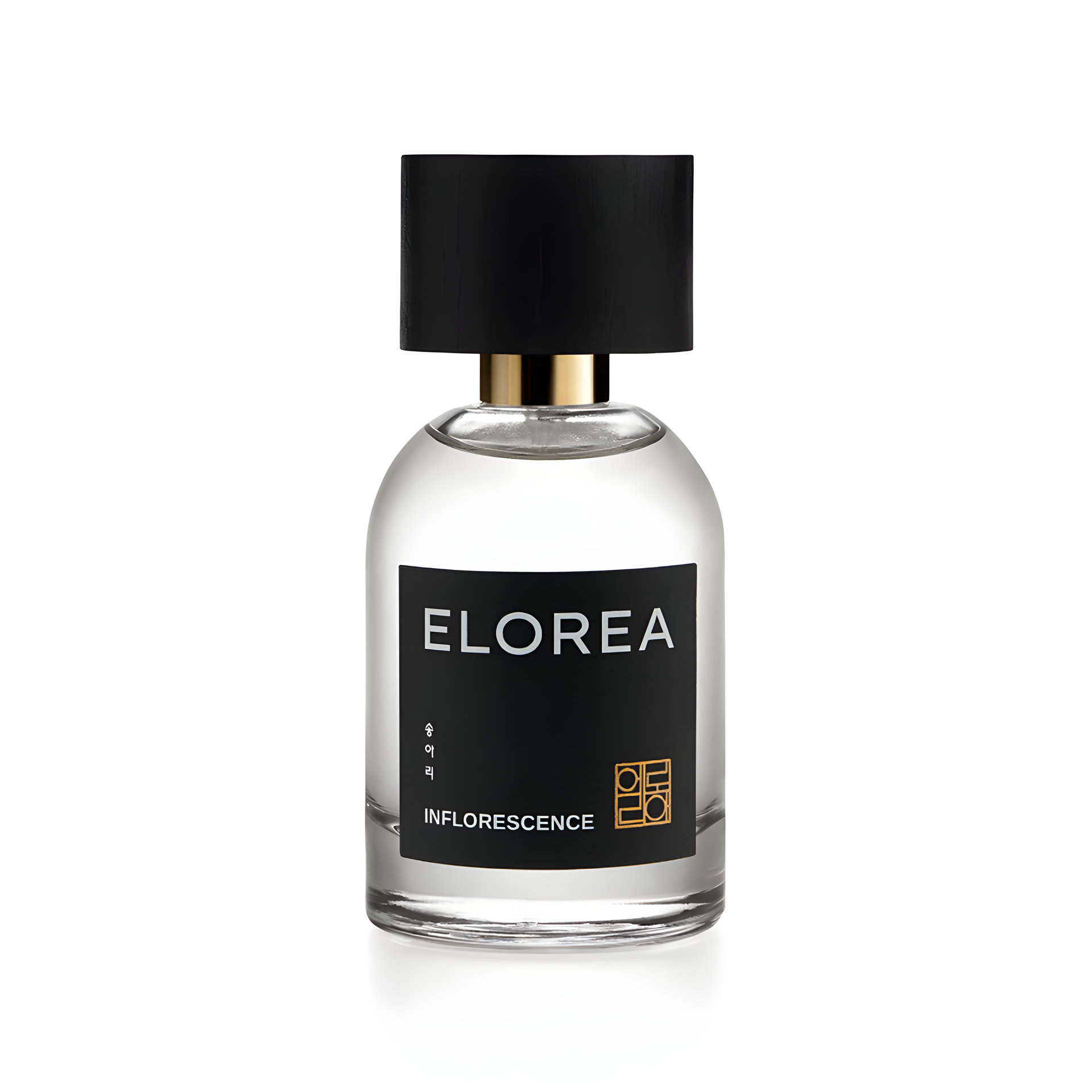 Picture of INFLORESCENCE (송아리) fragrance