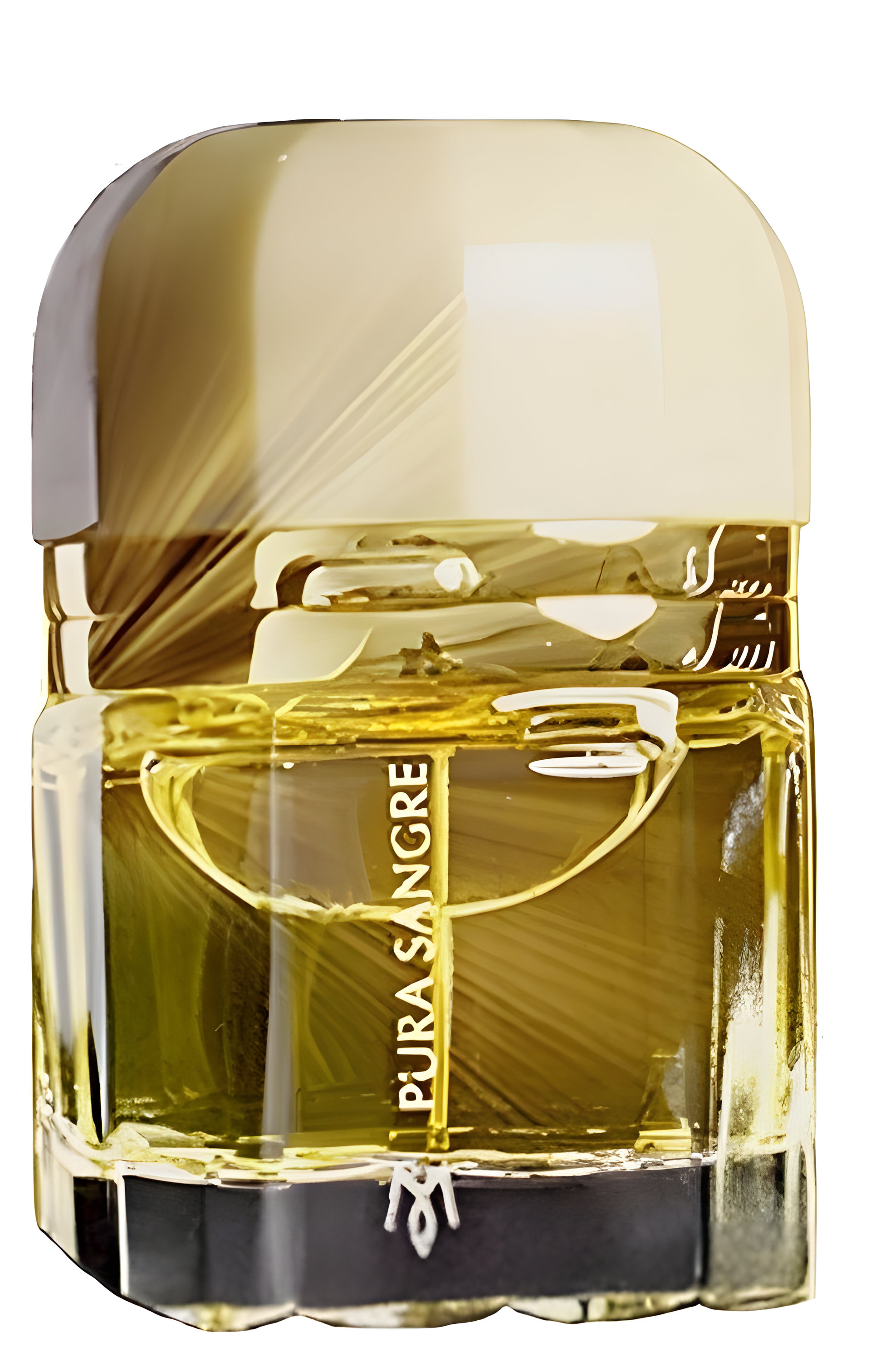 Picture of Pura Sangre fragrance