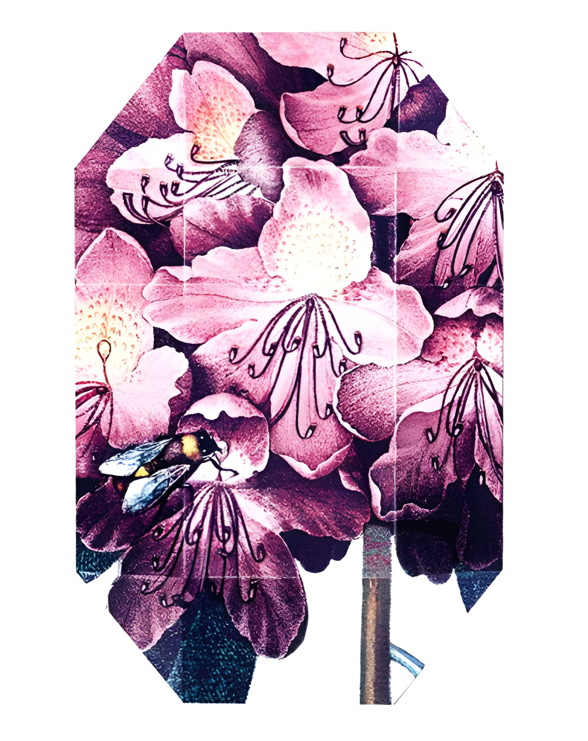 Print Collection Stella 01 (2011) by Stella McCartney