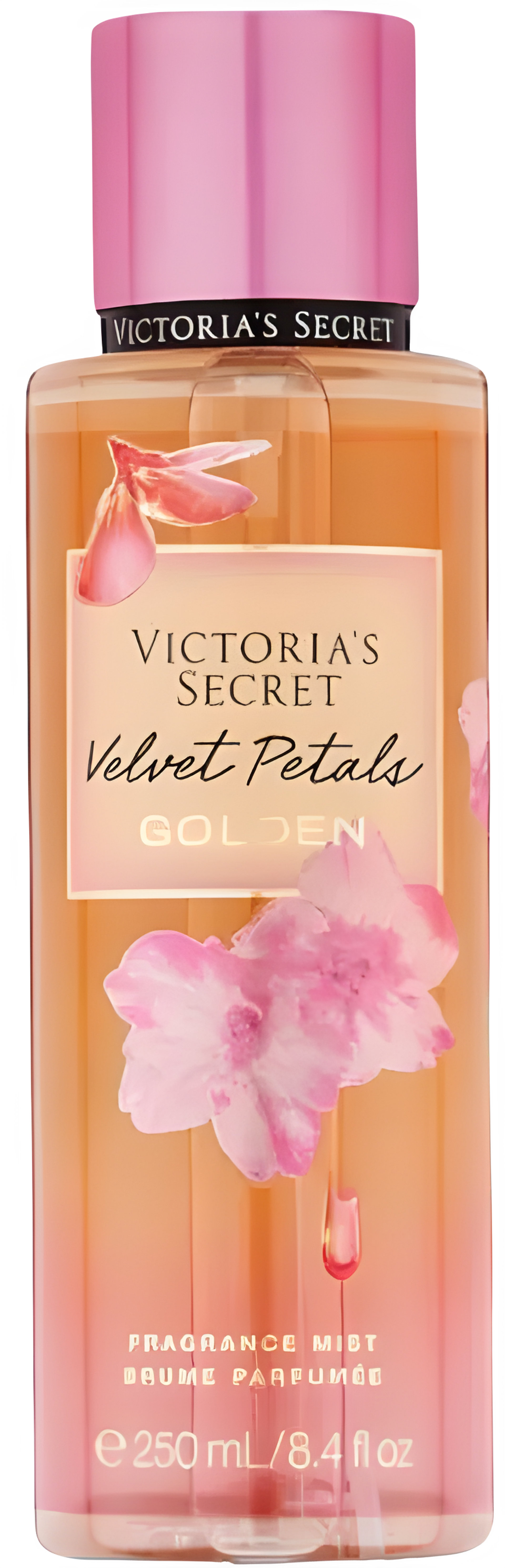 Picture of Velvet Petals Golden fragrance
