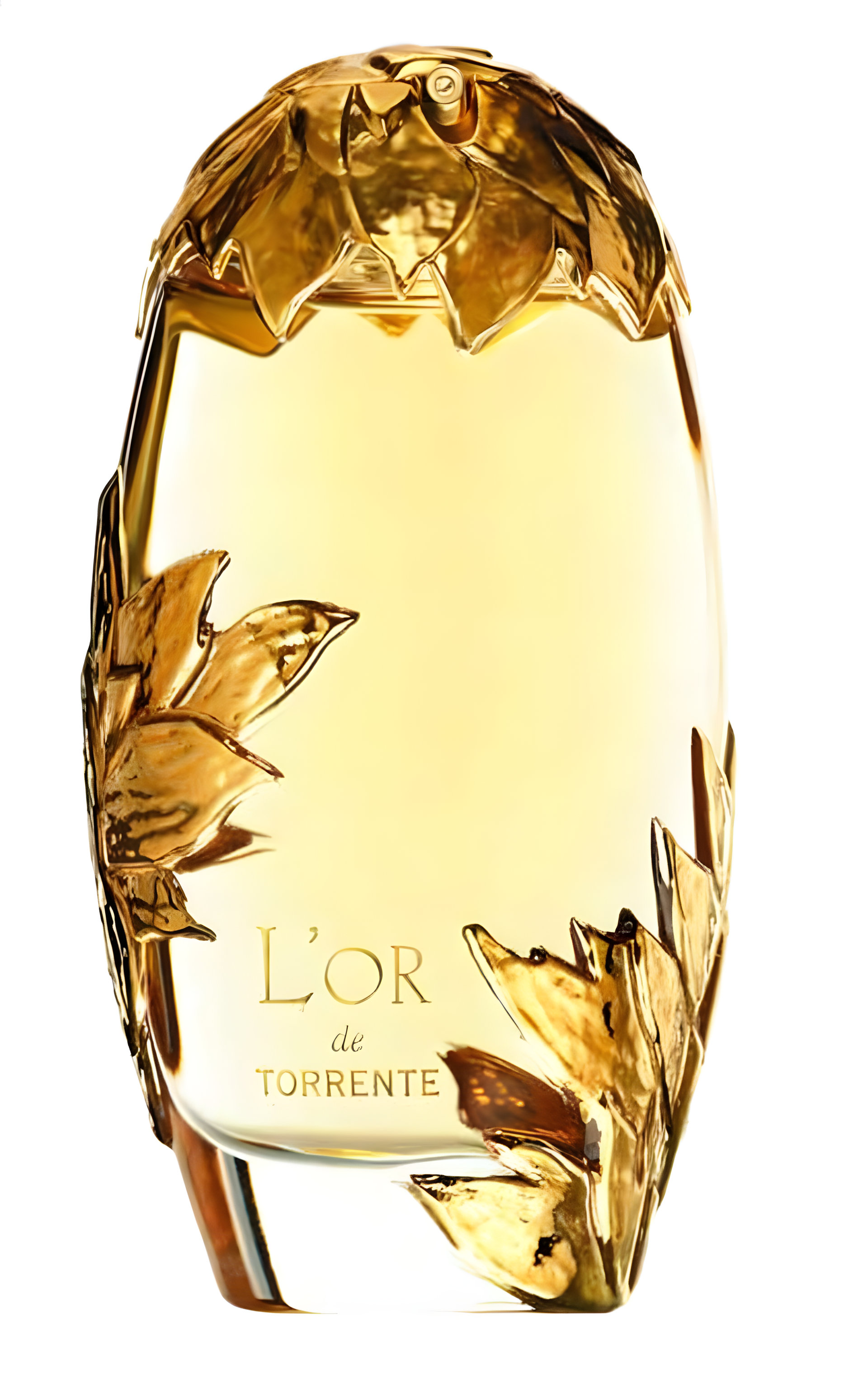 Picture of L'Or de Torrente Eau de Parfum fragrance