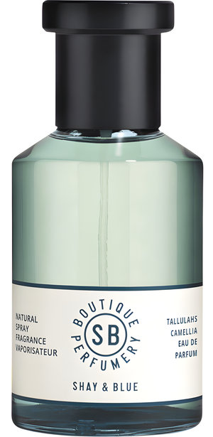 Tallulahs Camellia by Shay & Blue London perfume bottle