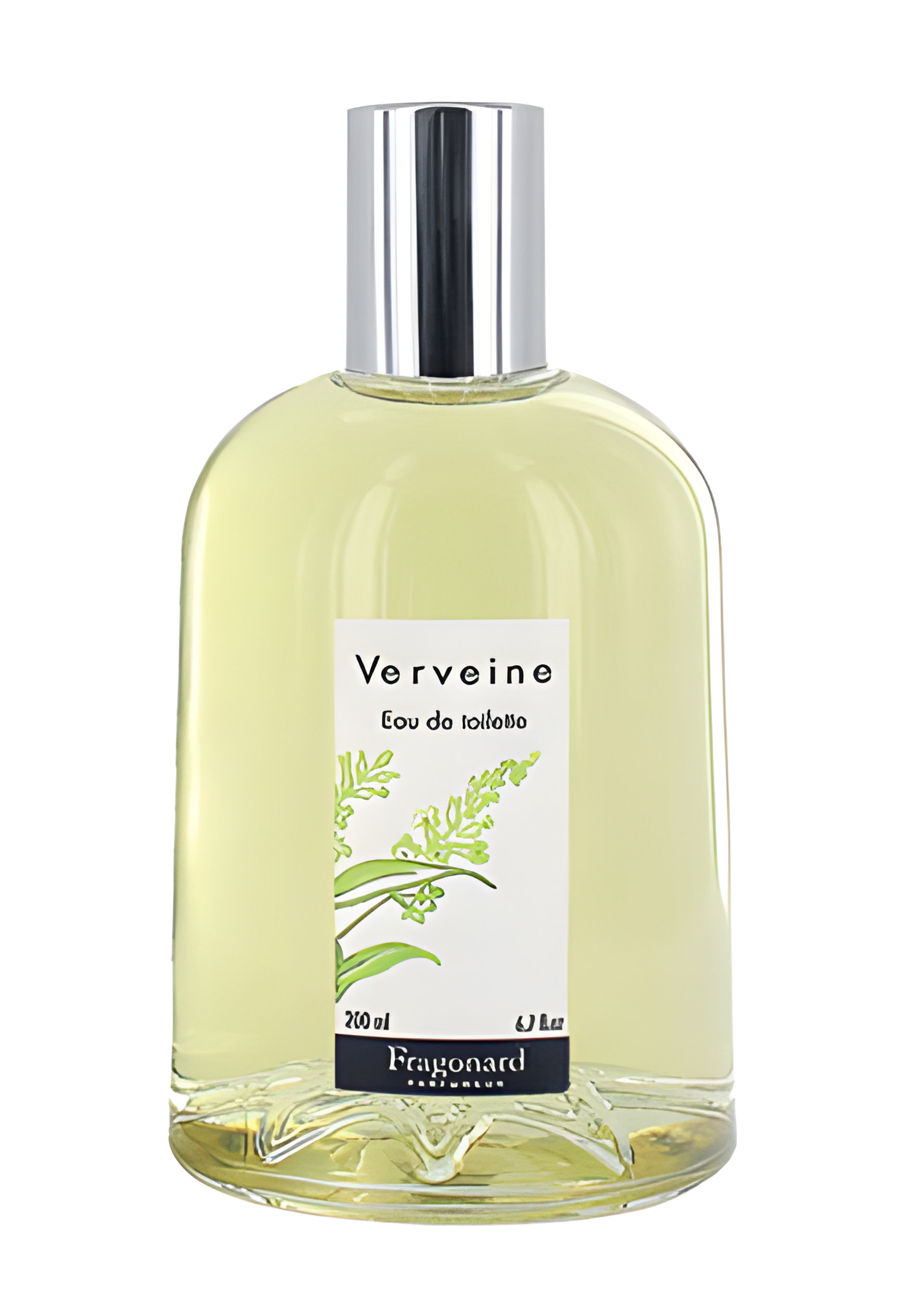 Picture of Verveine fragrance