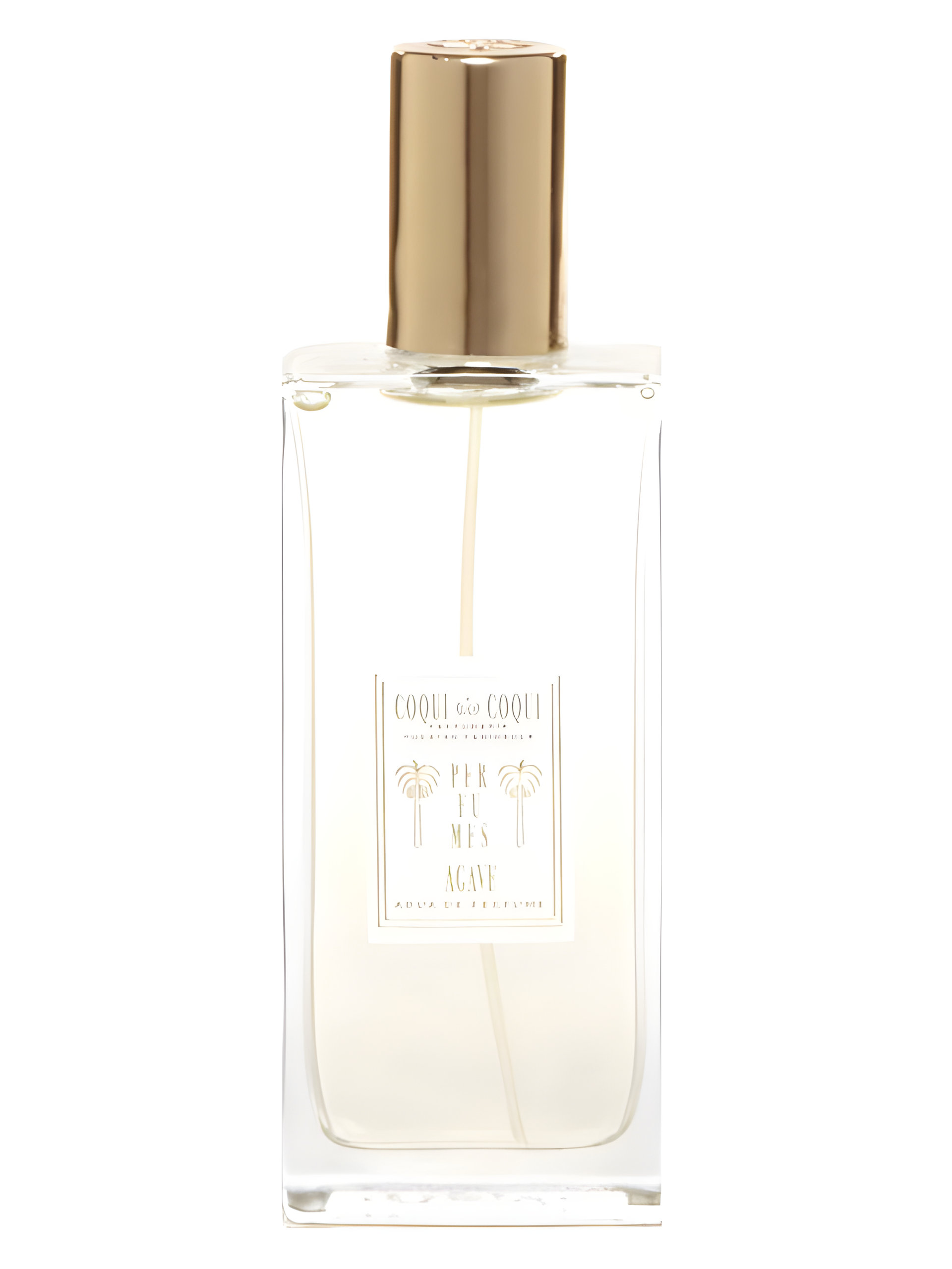 Picture of Agave fragrance