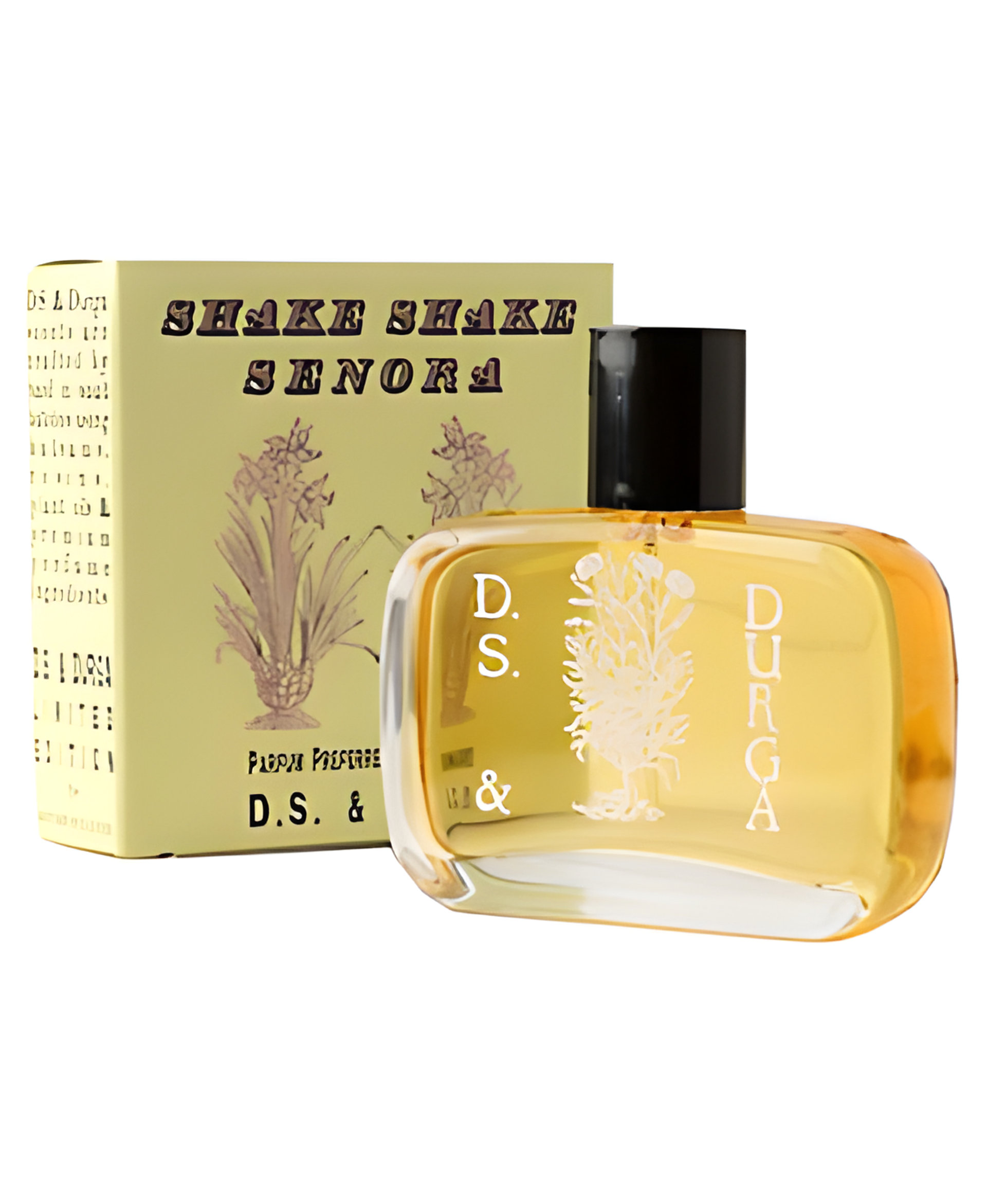 Shake Shake Senora by DS&Durga