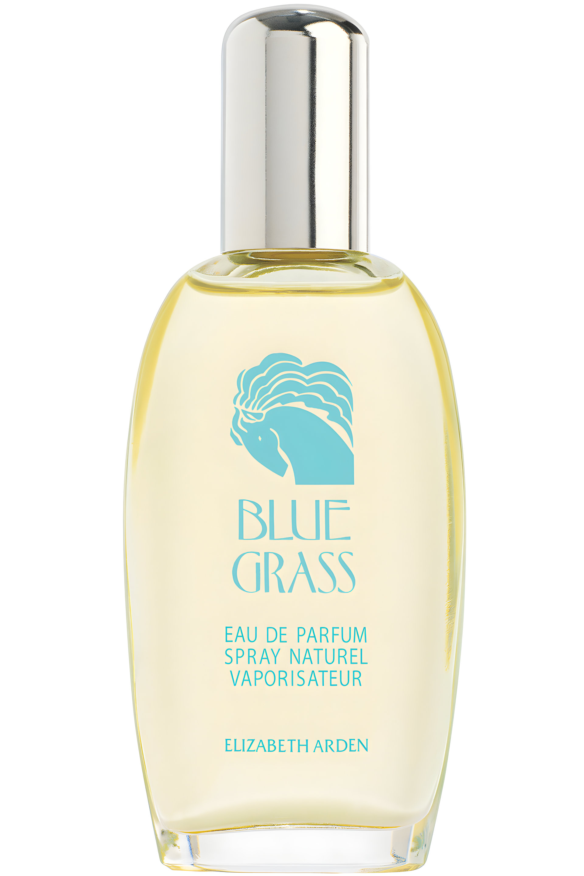 Picture of Blue Grass fragrance