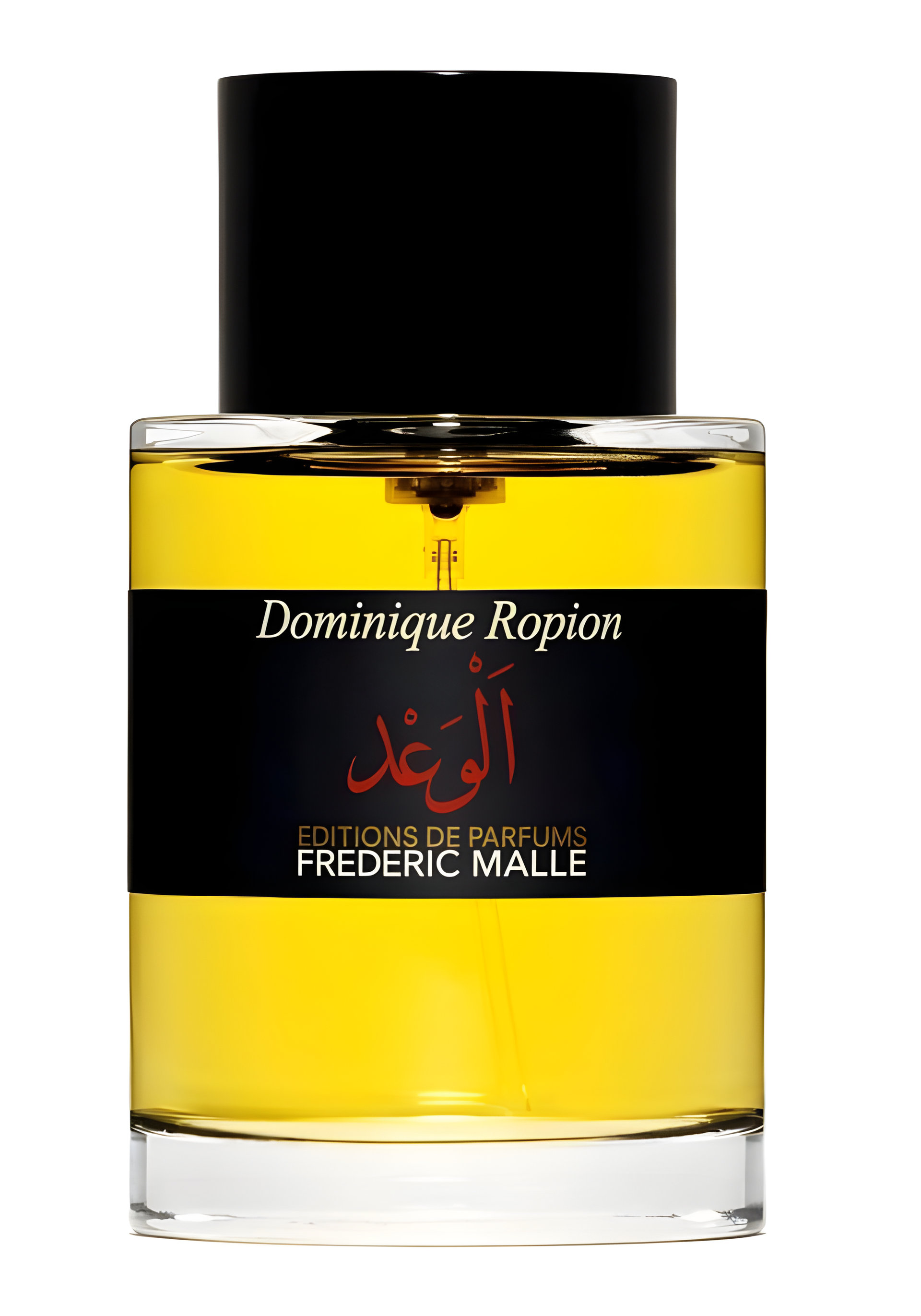 Picture of Promise fragrance