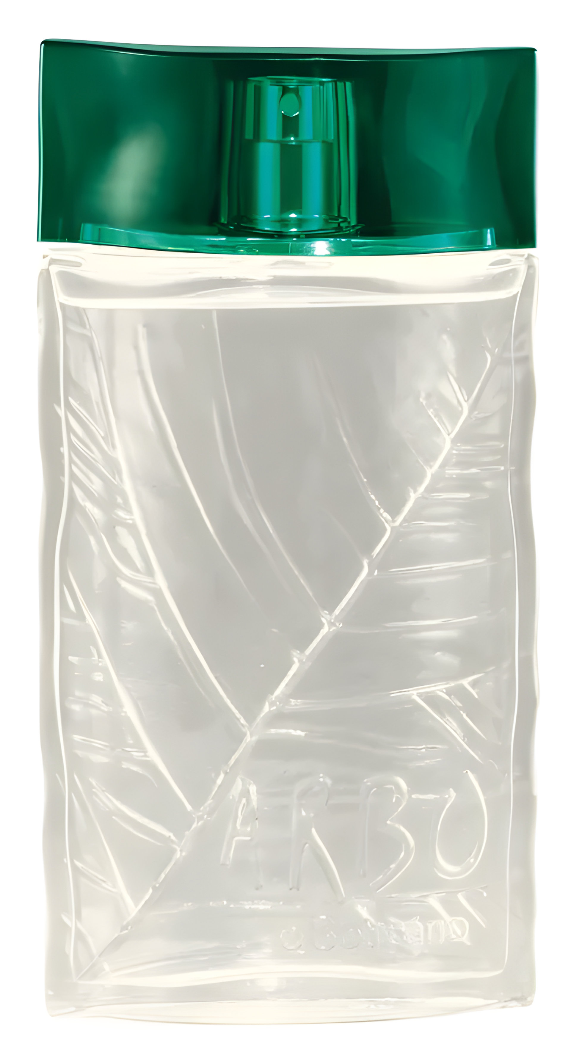 Picture of Arbo fragrance